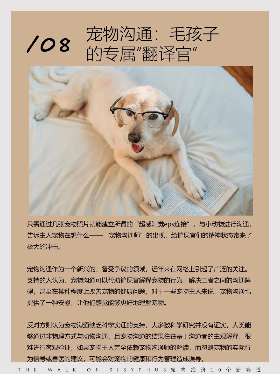 商业洞察｜宠物经济10 个新赛道