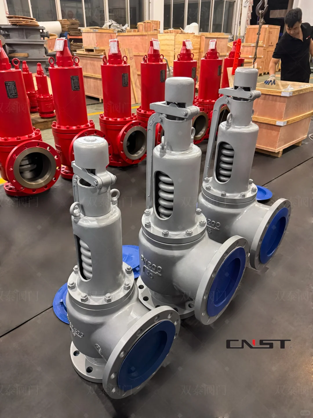 双泰阀门，双泰超低温安全阀