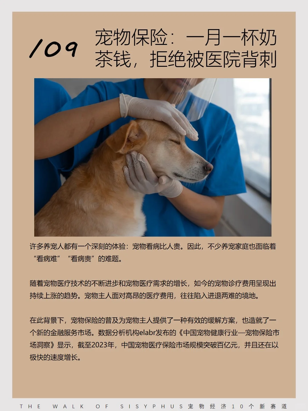 商业洞察｜宠物经济10 个新赛道