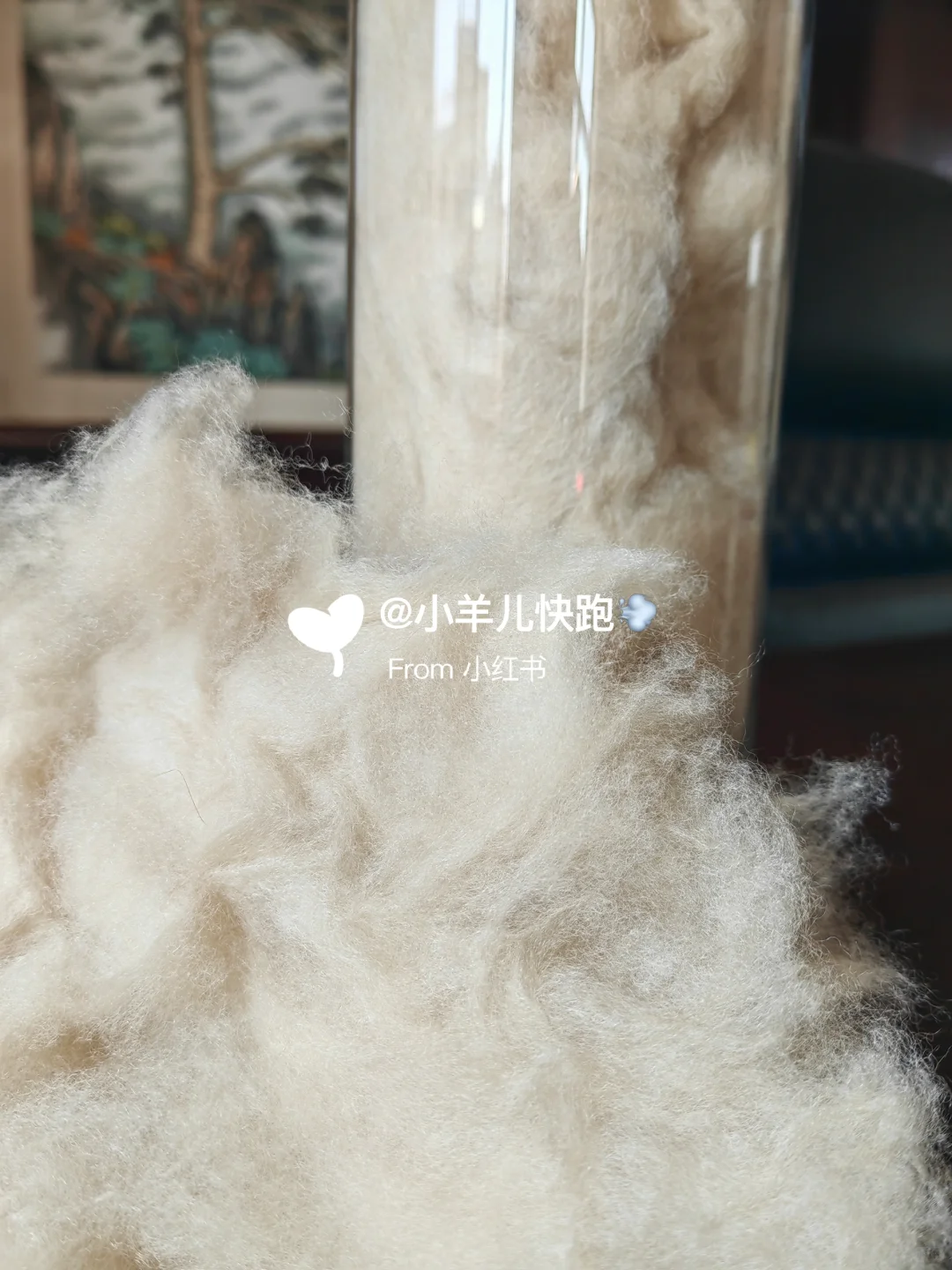 为什么无染色羊绒纱线逐渐成为时尚界宠儿？