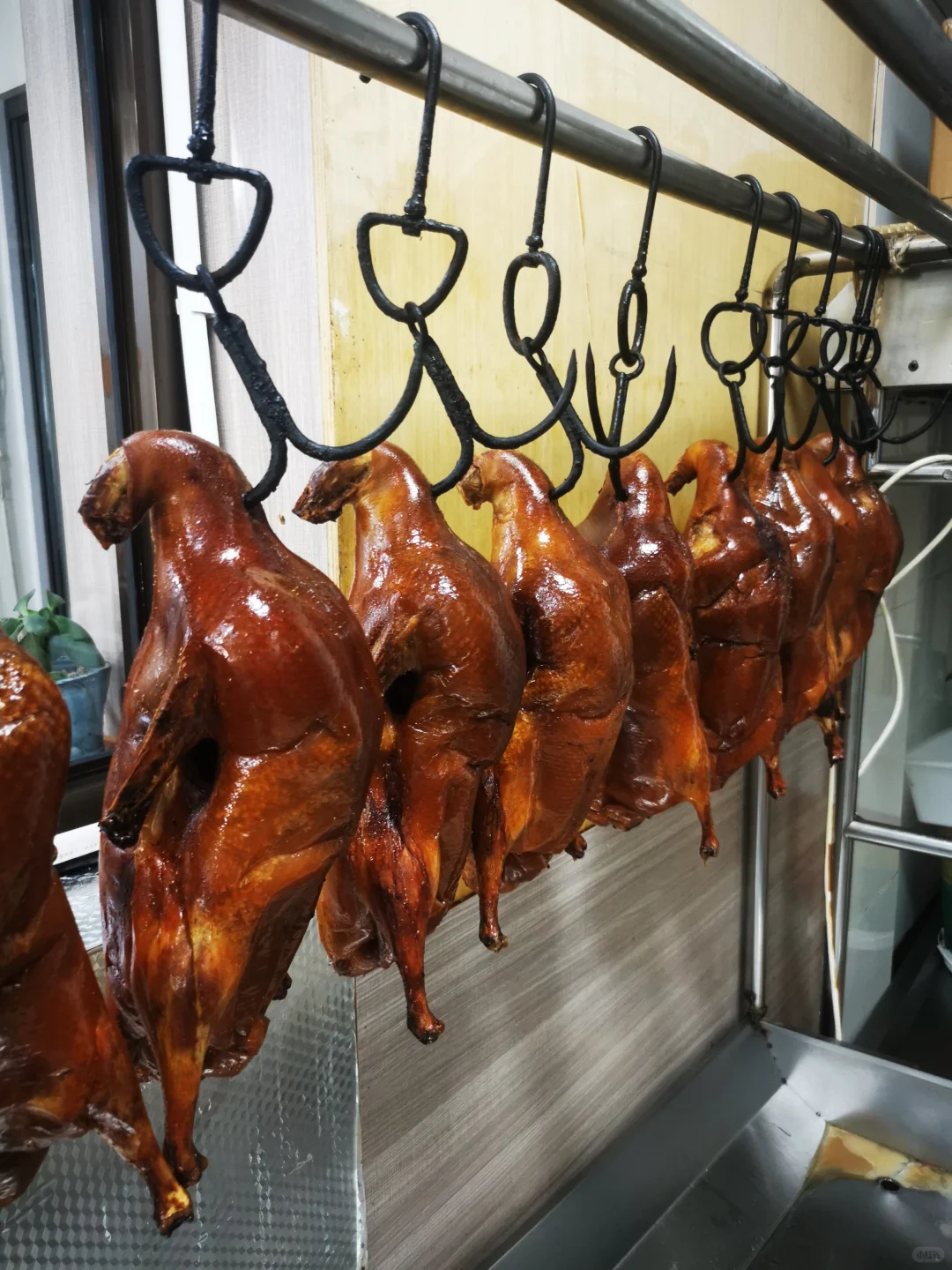 参观鸭胚生产源头