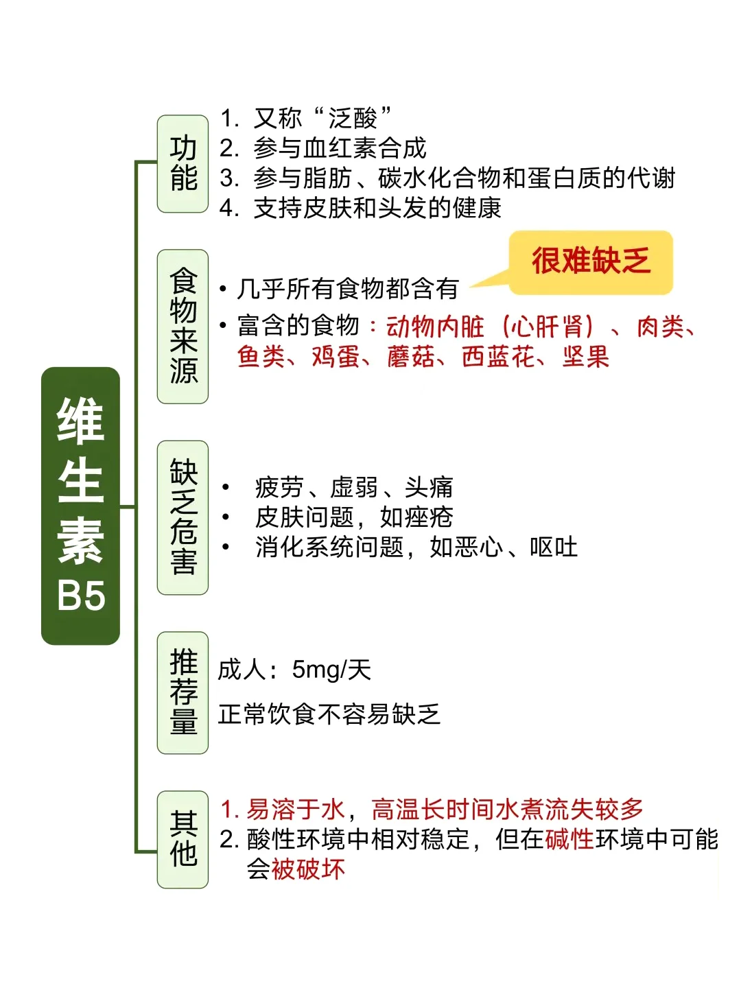 维生素B5 功效大全