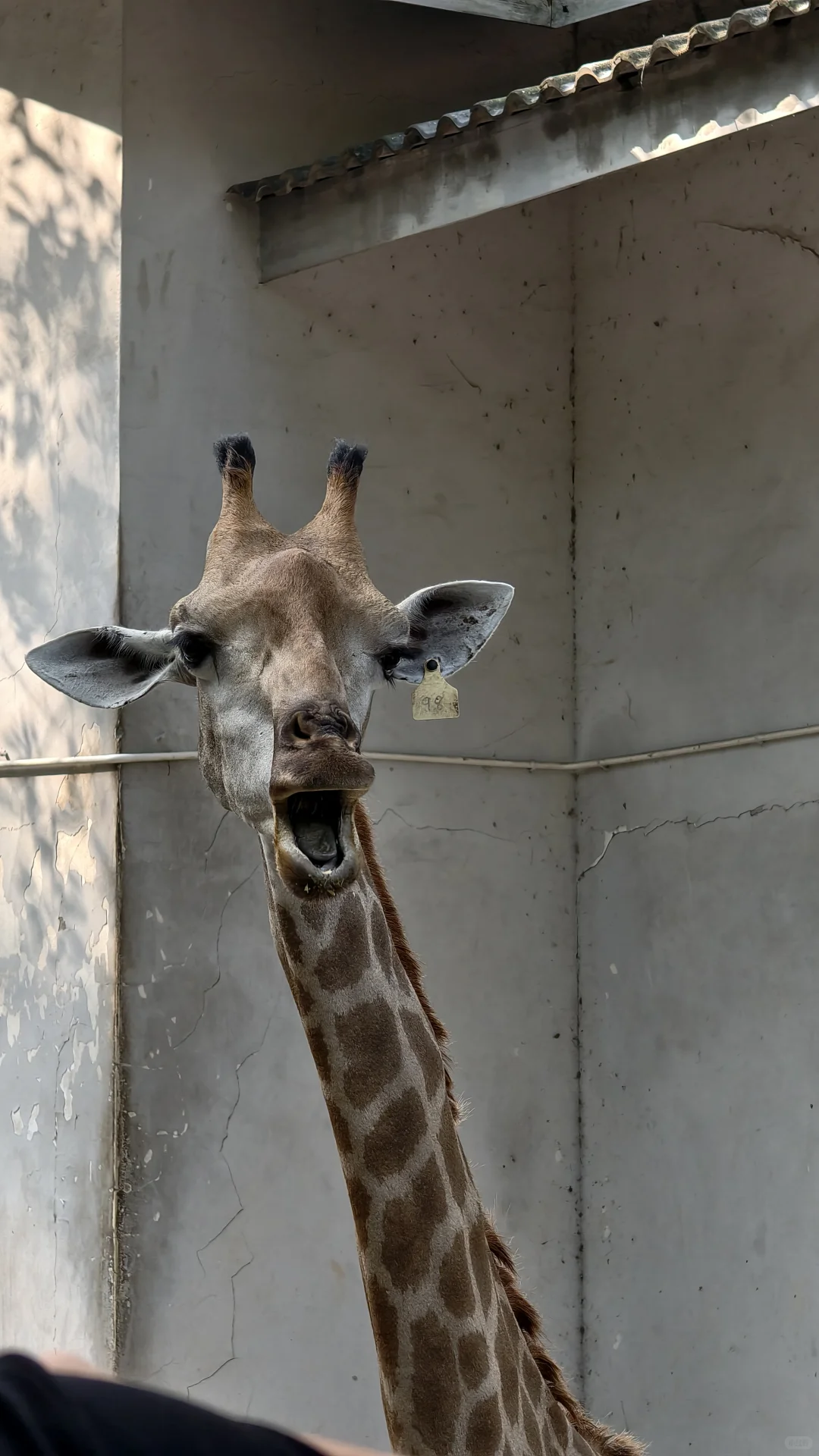 特种兵之杭州动物园