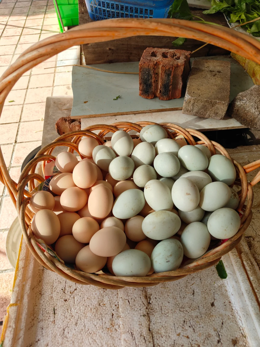 百色龙景菜市场越看越治愈的菜，忍不住拍拍