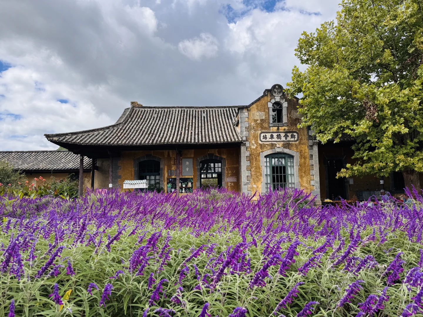 建水周边半日游,偷得浮生半日闲