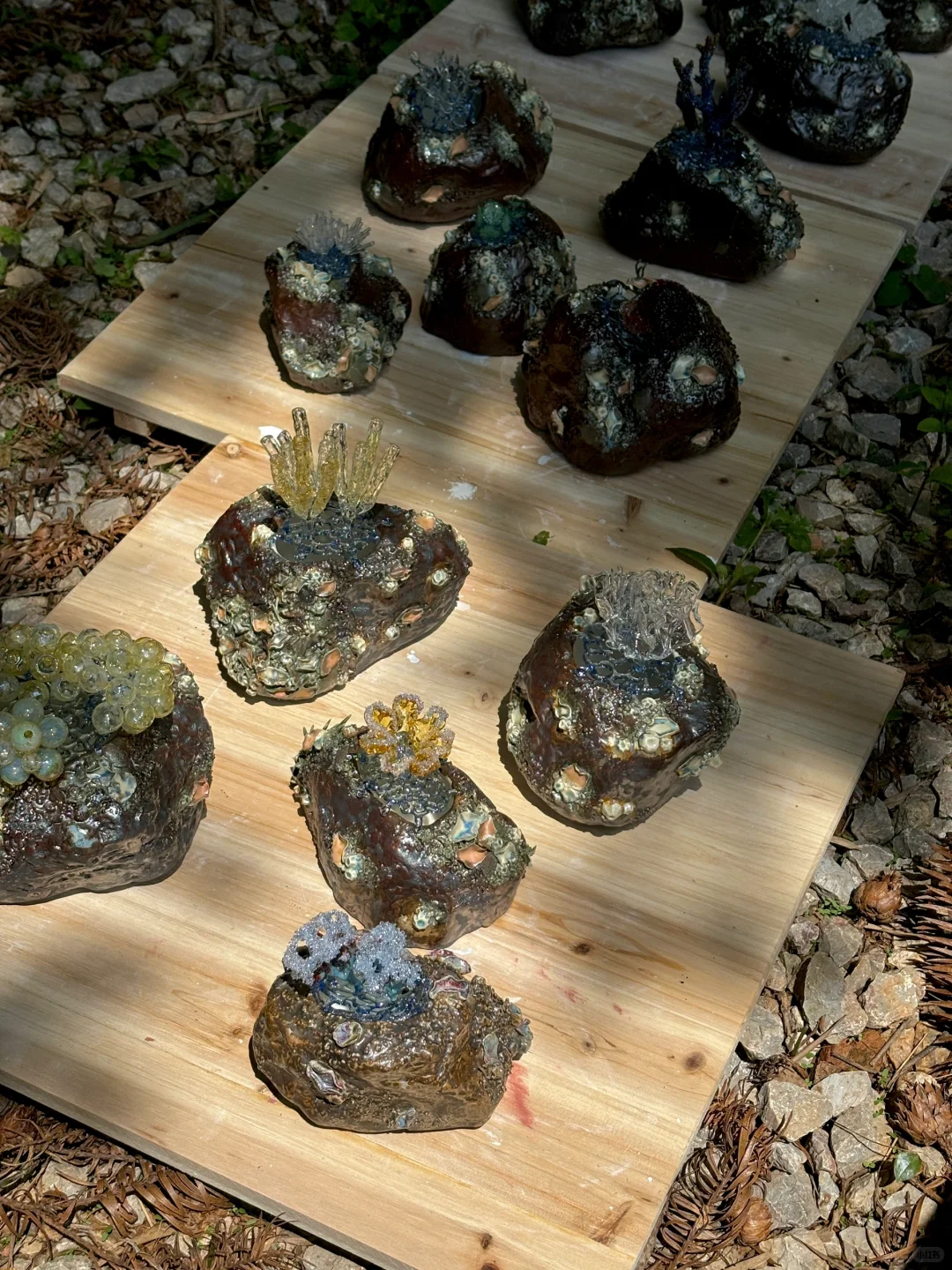 拯救粑粑计划！！！??