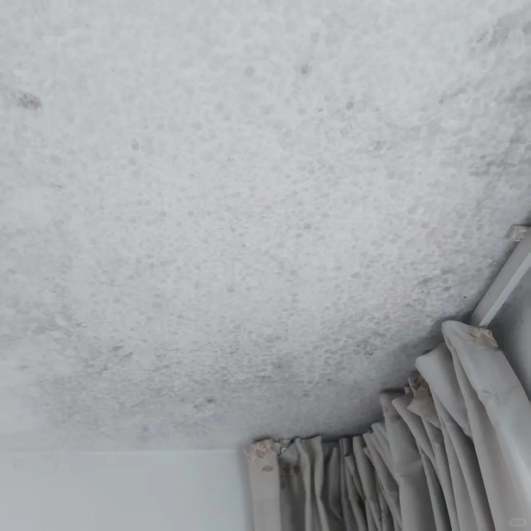 墙面渗水问题合集！