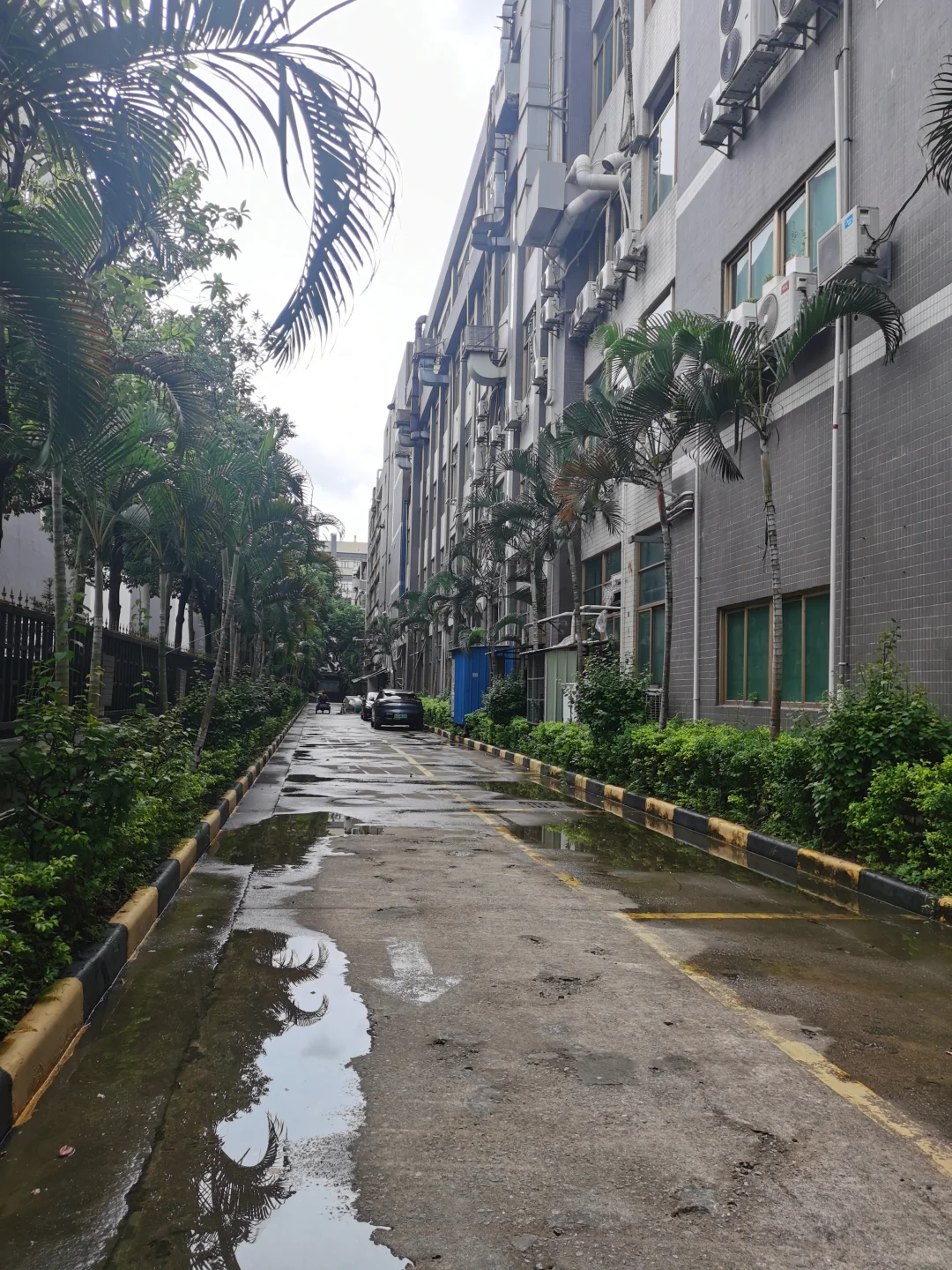 机械转行采购8—恶心公司套路3