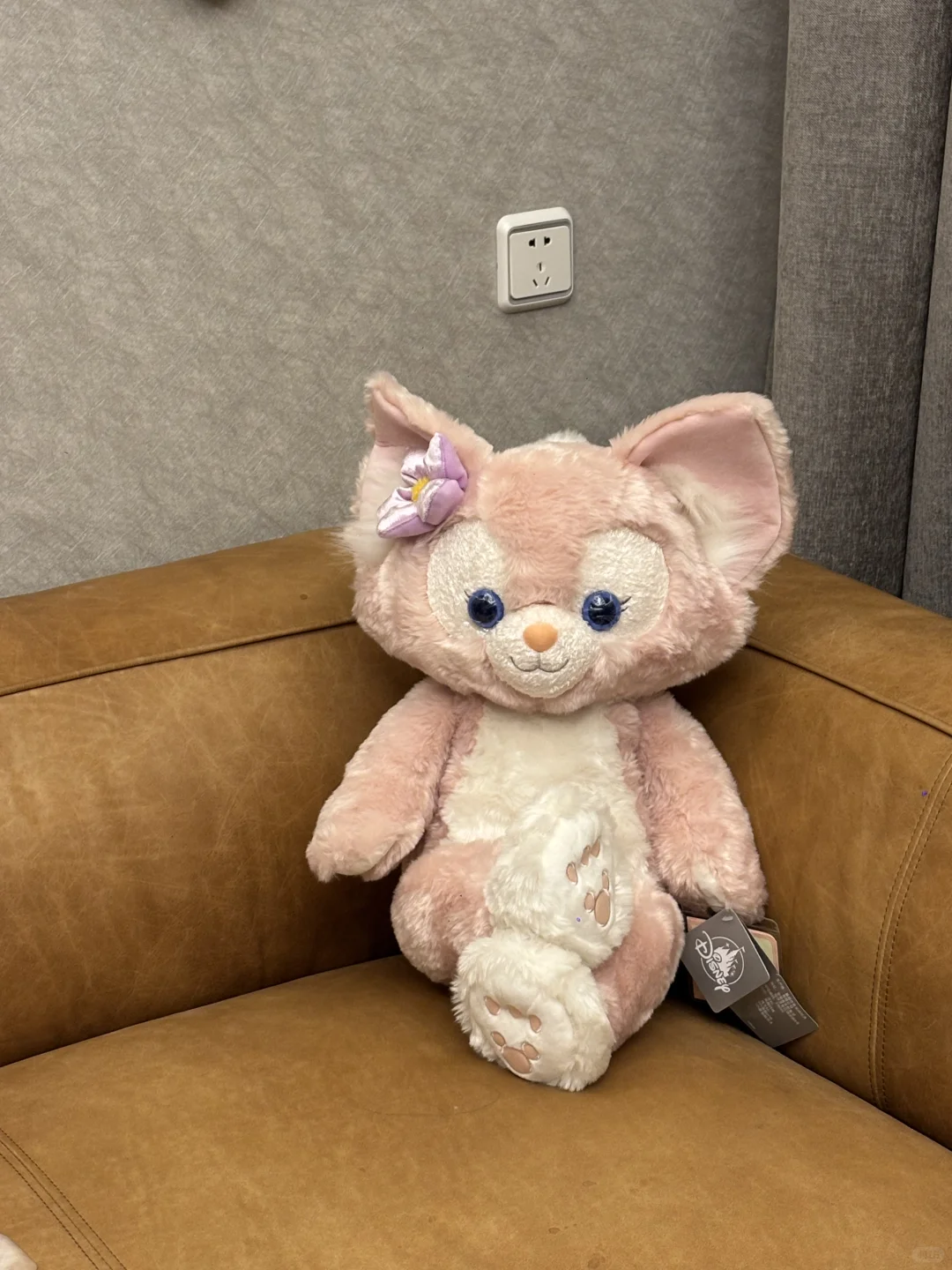 展品物流可以运电池到迪拜的速联！