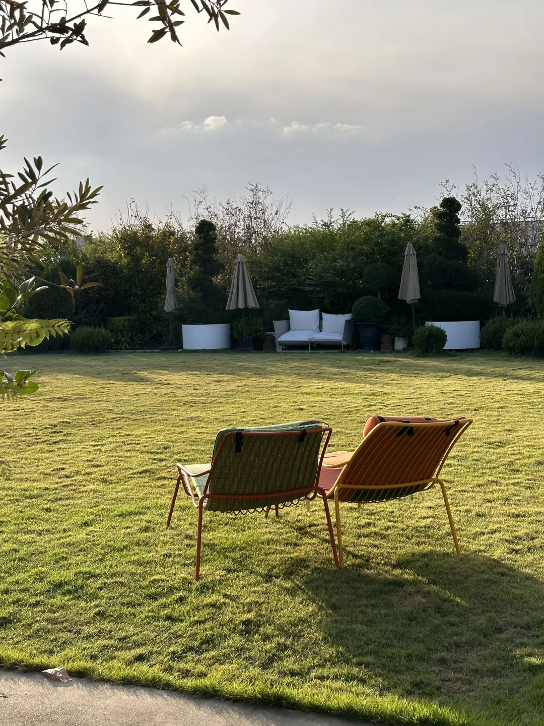 工作日常｜当选面料遇到神仙露台花园