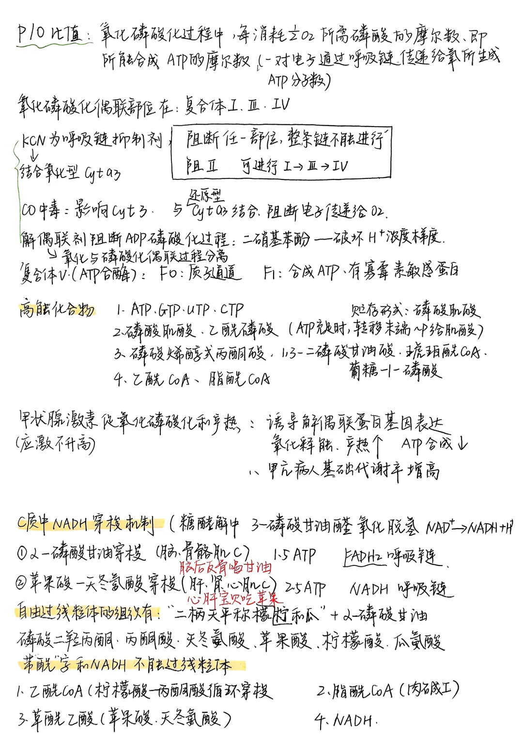 生物化学|笔记合集