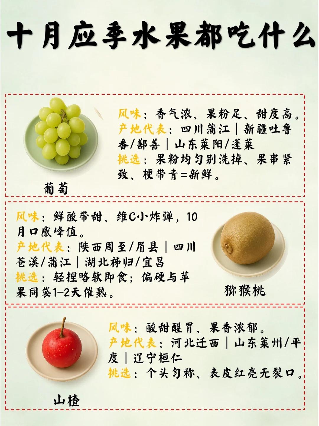 十月应季水果清单|古籍也说“秋来果正甜”