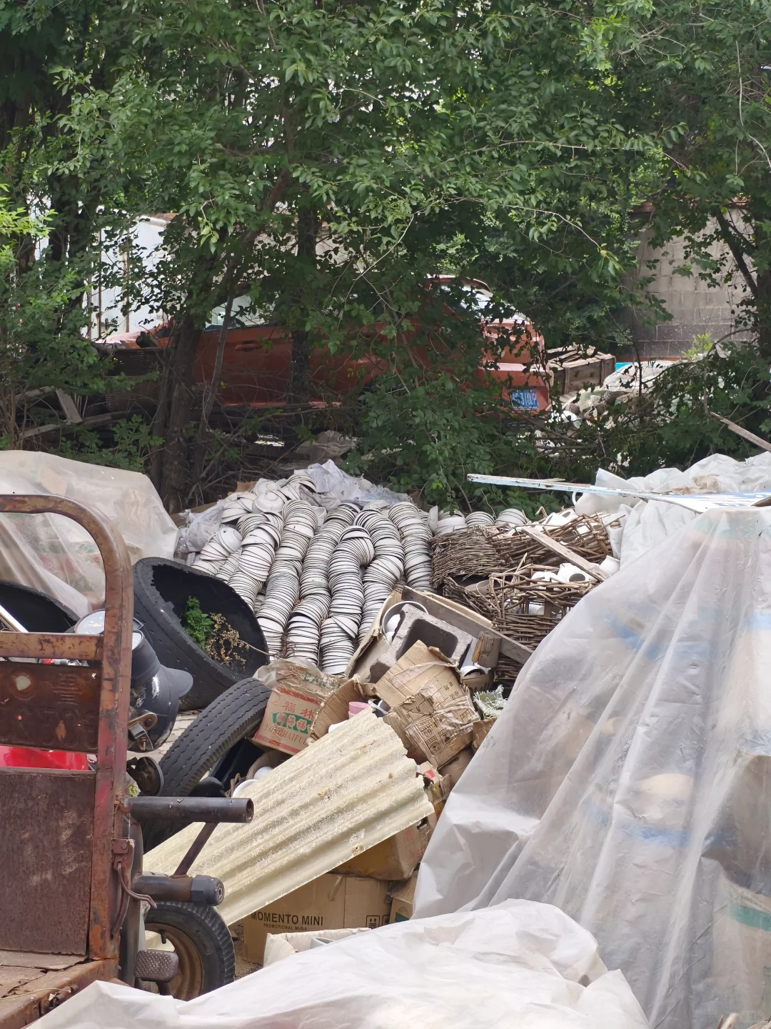 博山惊现陶瓷玻璃捡漏王!1元起抢疯