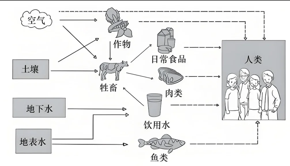民以食为天,食以安为先,兽残的五大危害