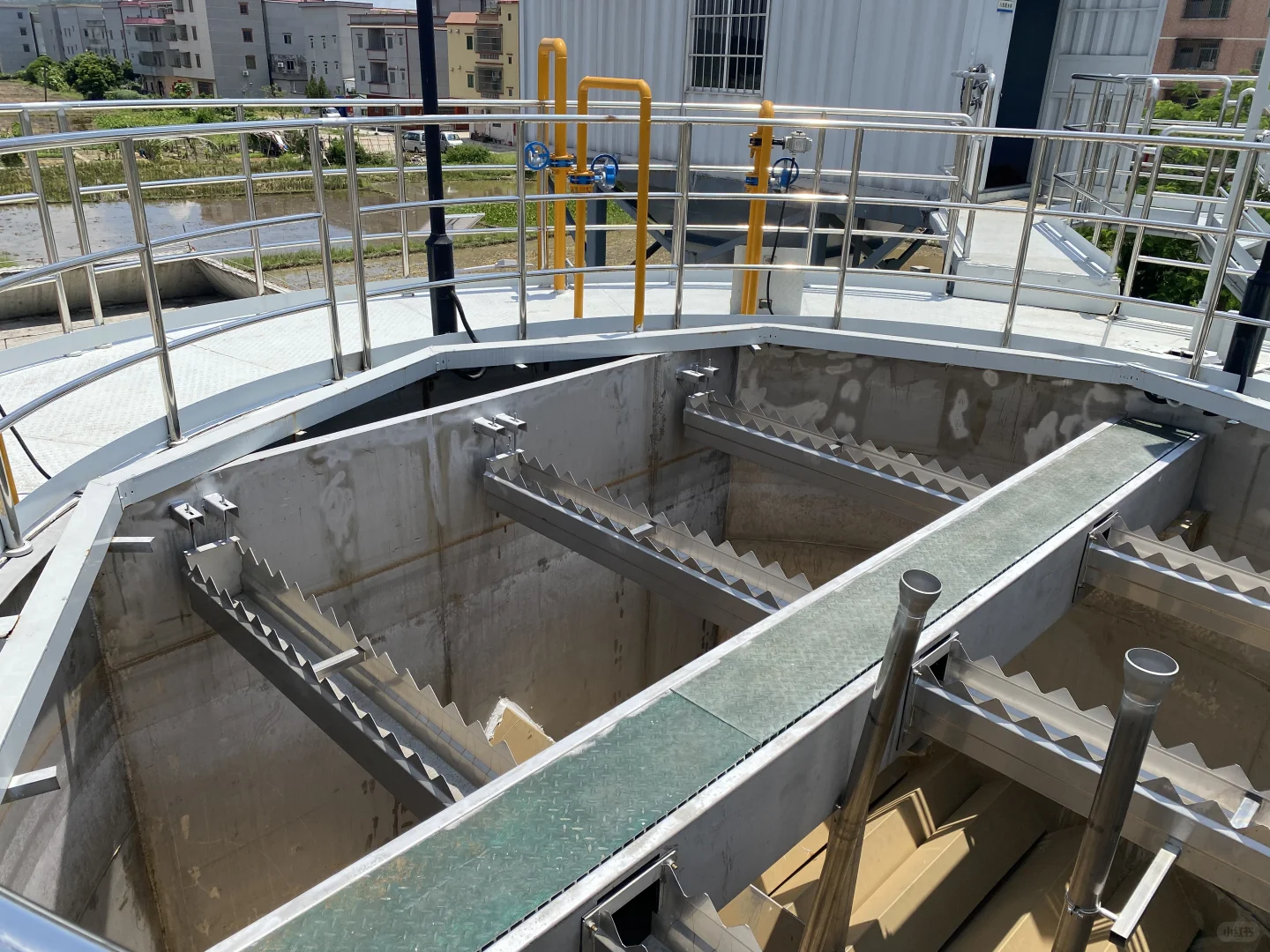 #活性菌种投放#污水处理