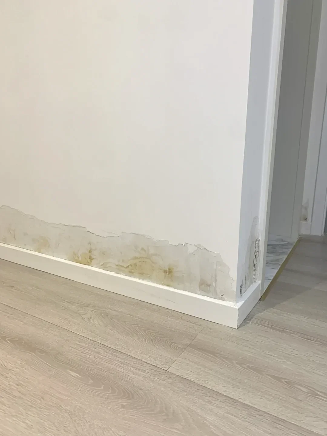 回南天墙面狂“冒汗”？教你选对抗霉防潮漆