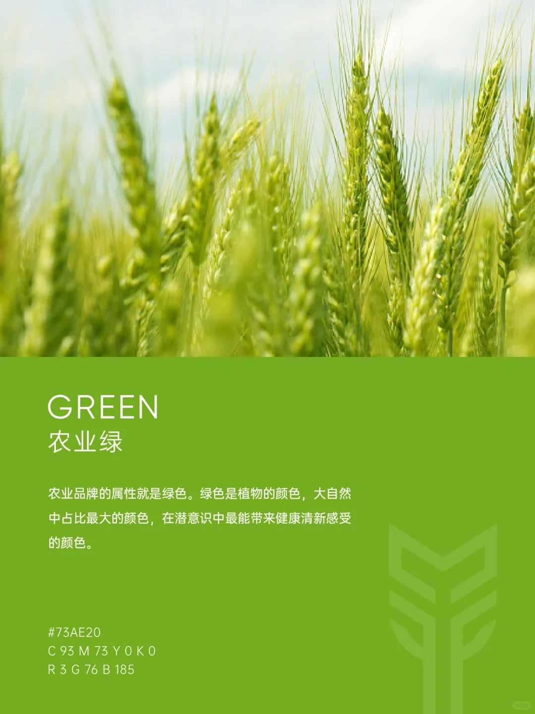 来自一颗麦子的灵感，原创LOGO设计