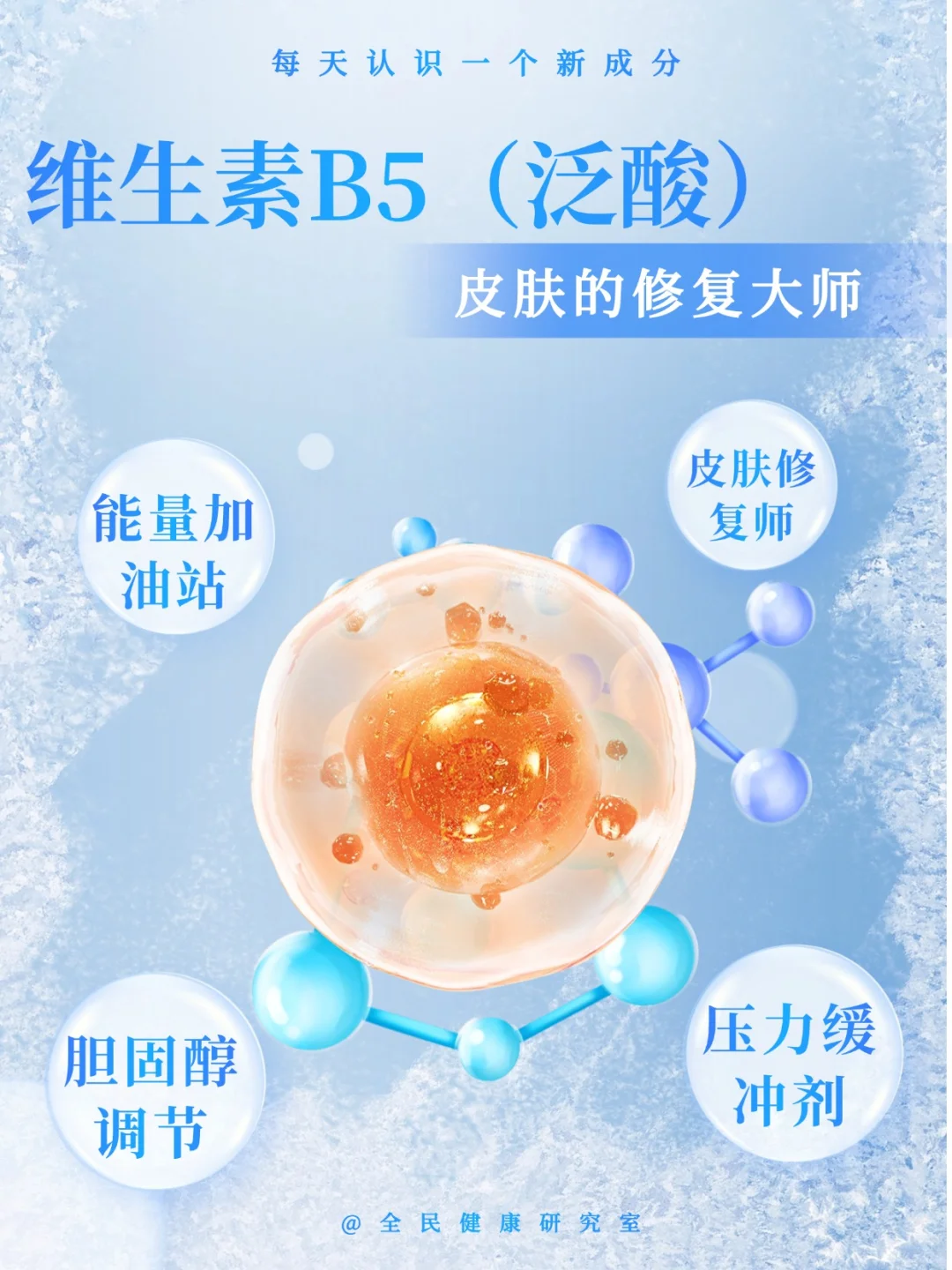 泛酸（维生素B5）：关于这个低调的多面手，你了