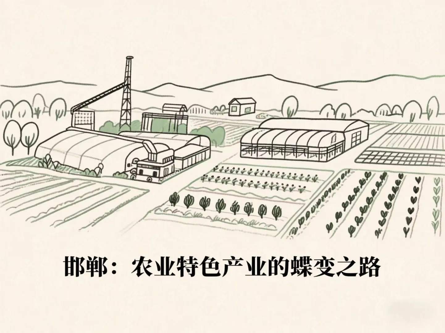 邯郸:农业特色产业的蝶变之路