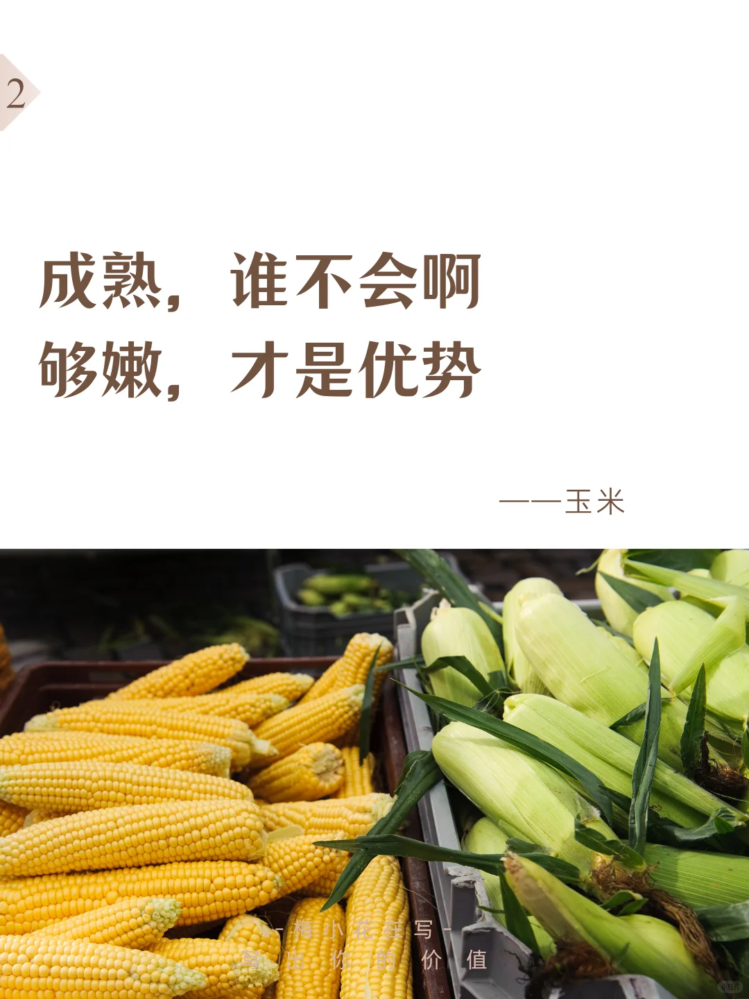 超市蔬菜文案，试试写出大润发版烟火气‼️