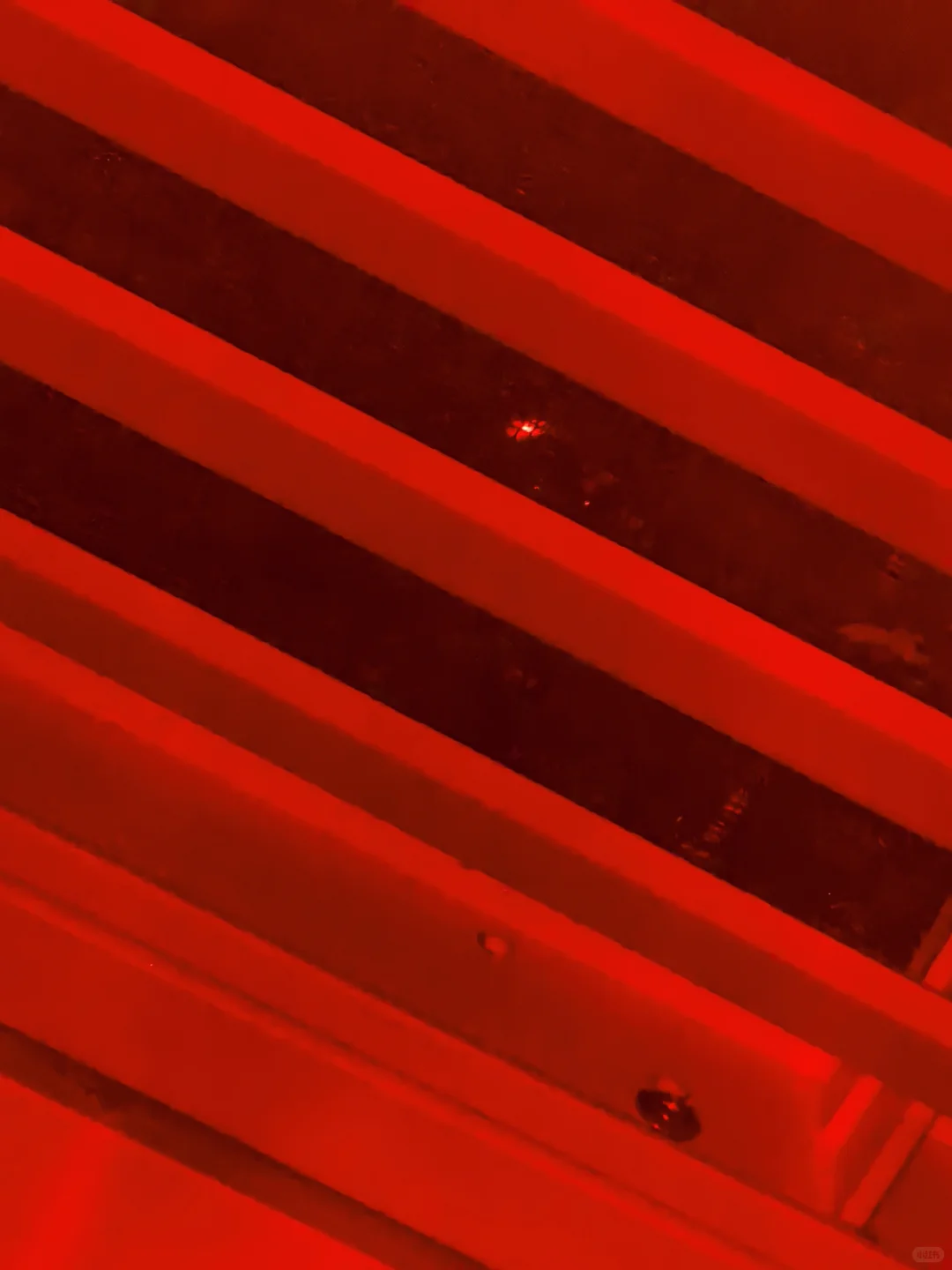 细思极恐啊！这是什么！！