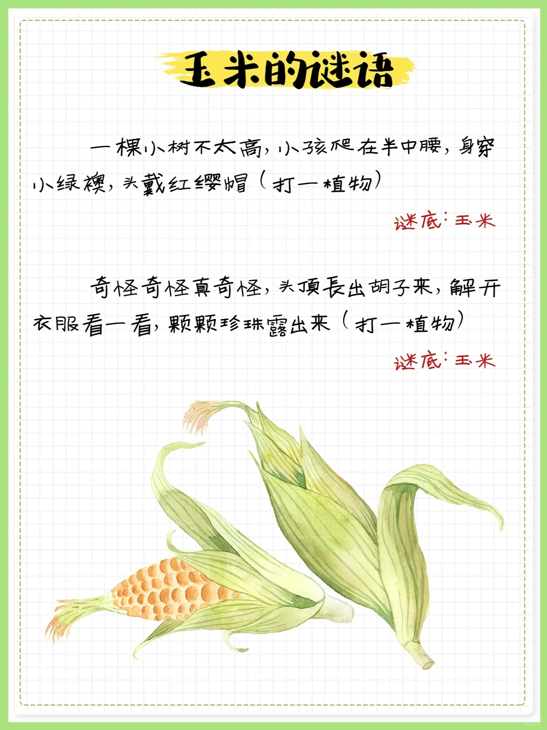 【科普图鉴·玉米】每天收获新知识❗