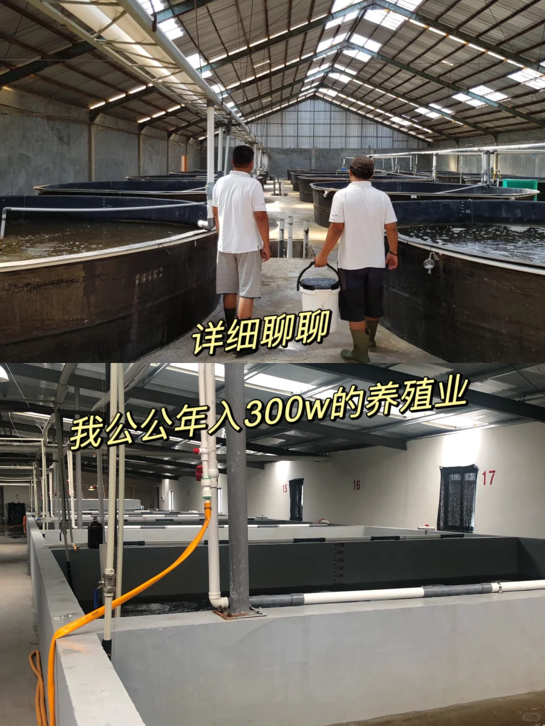 爸妈发家史之养殖业(1)