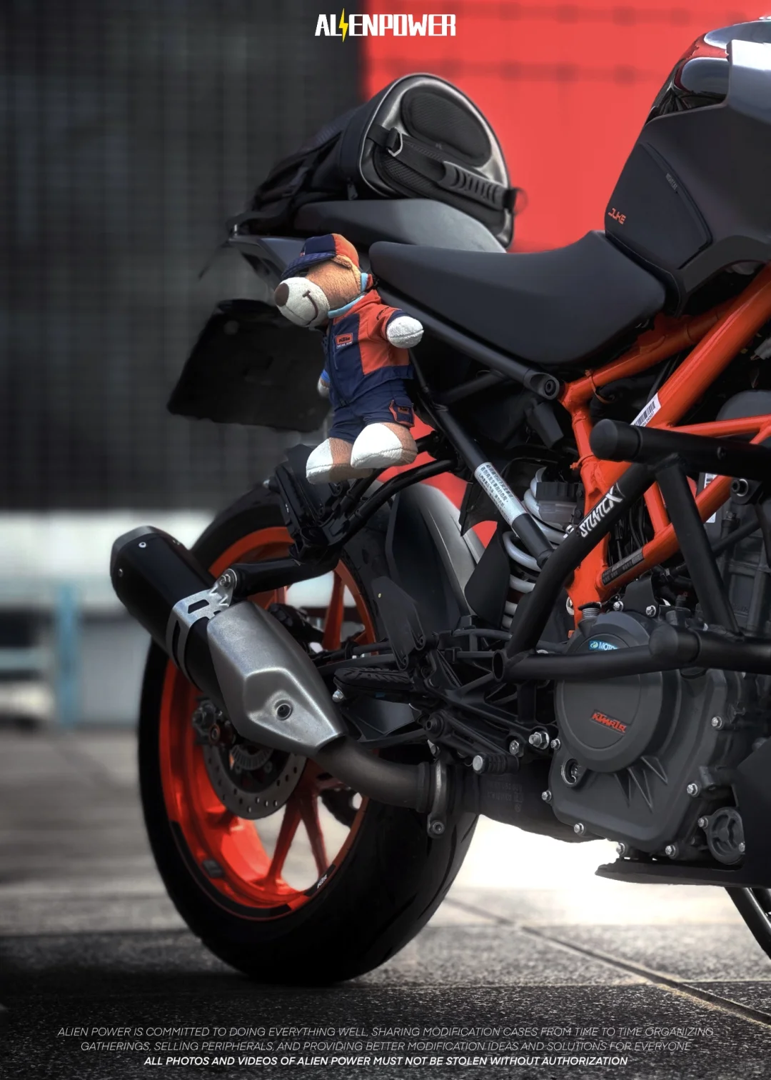 【车友案例】捕获一只野生的kt猫