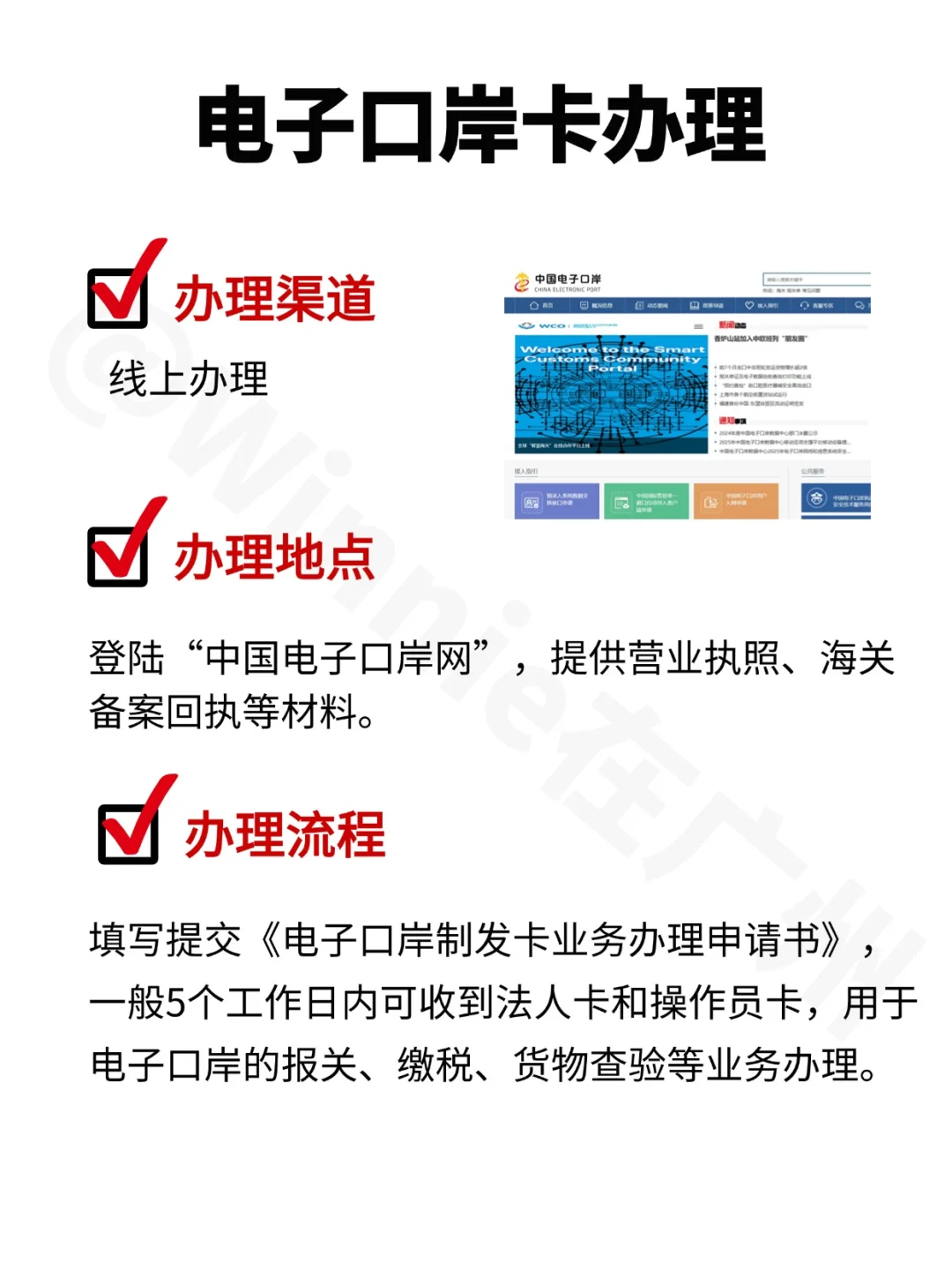 2025进出口权办理全攻略！外贸新手必备！