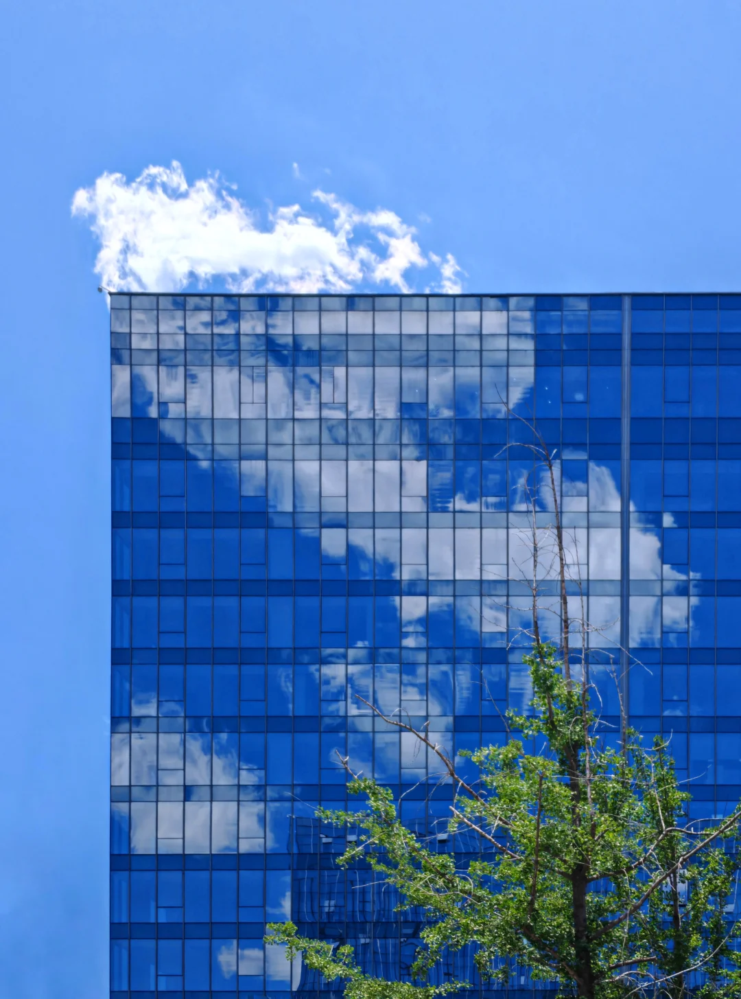 玻璃幕墙里飞出的云彩