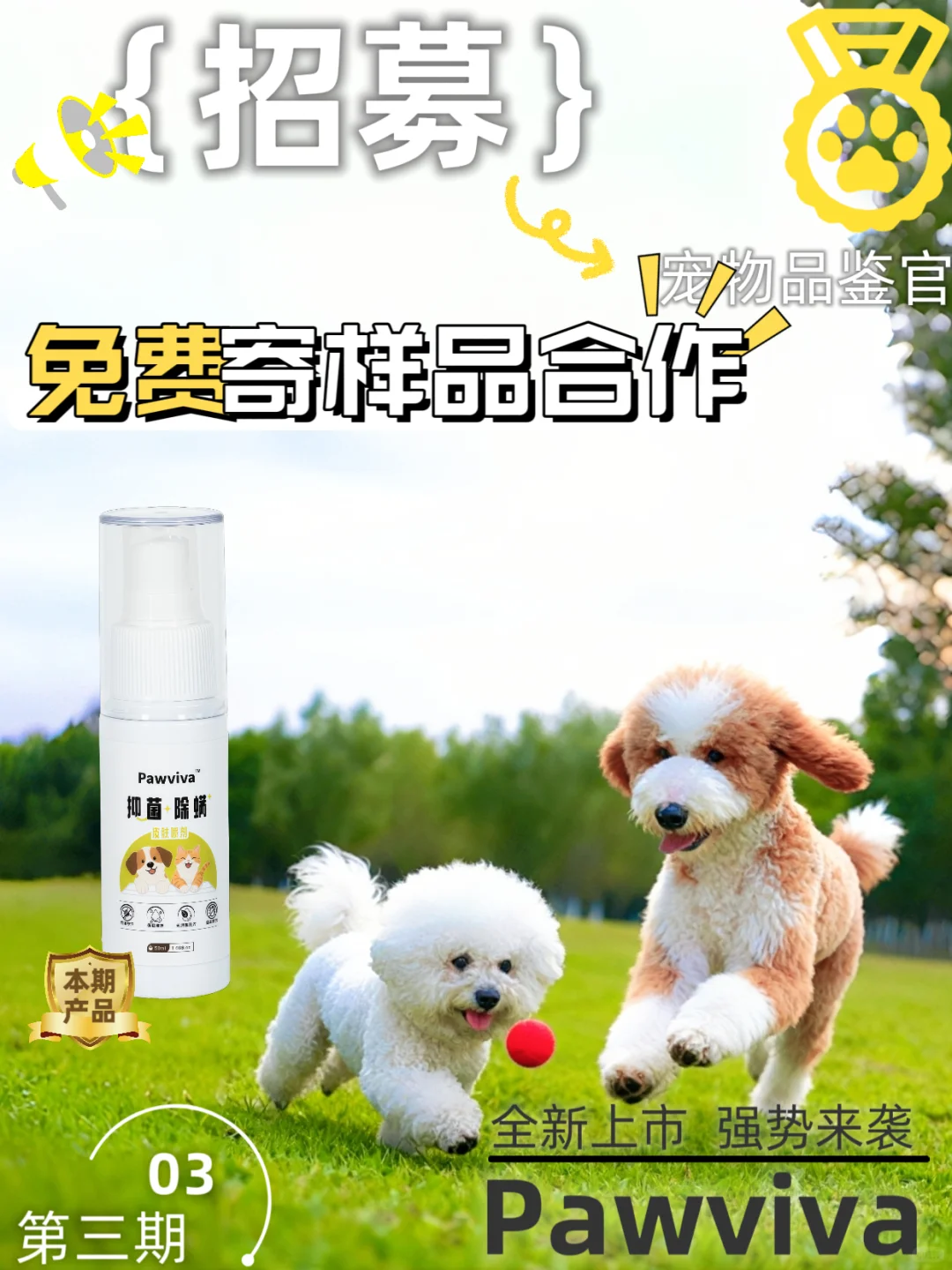 ?Pawviva招募宠物用品天使用户啦