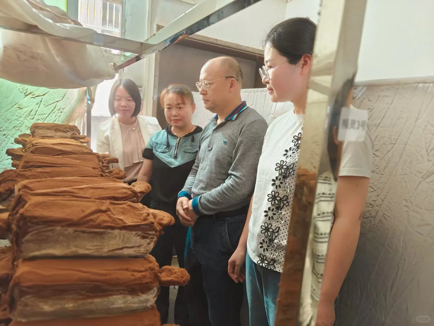 被授予“食用菌新品种新技术示范基地”牌匾