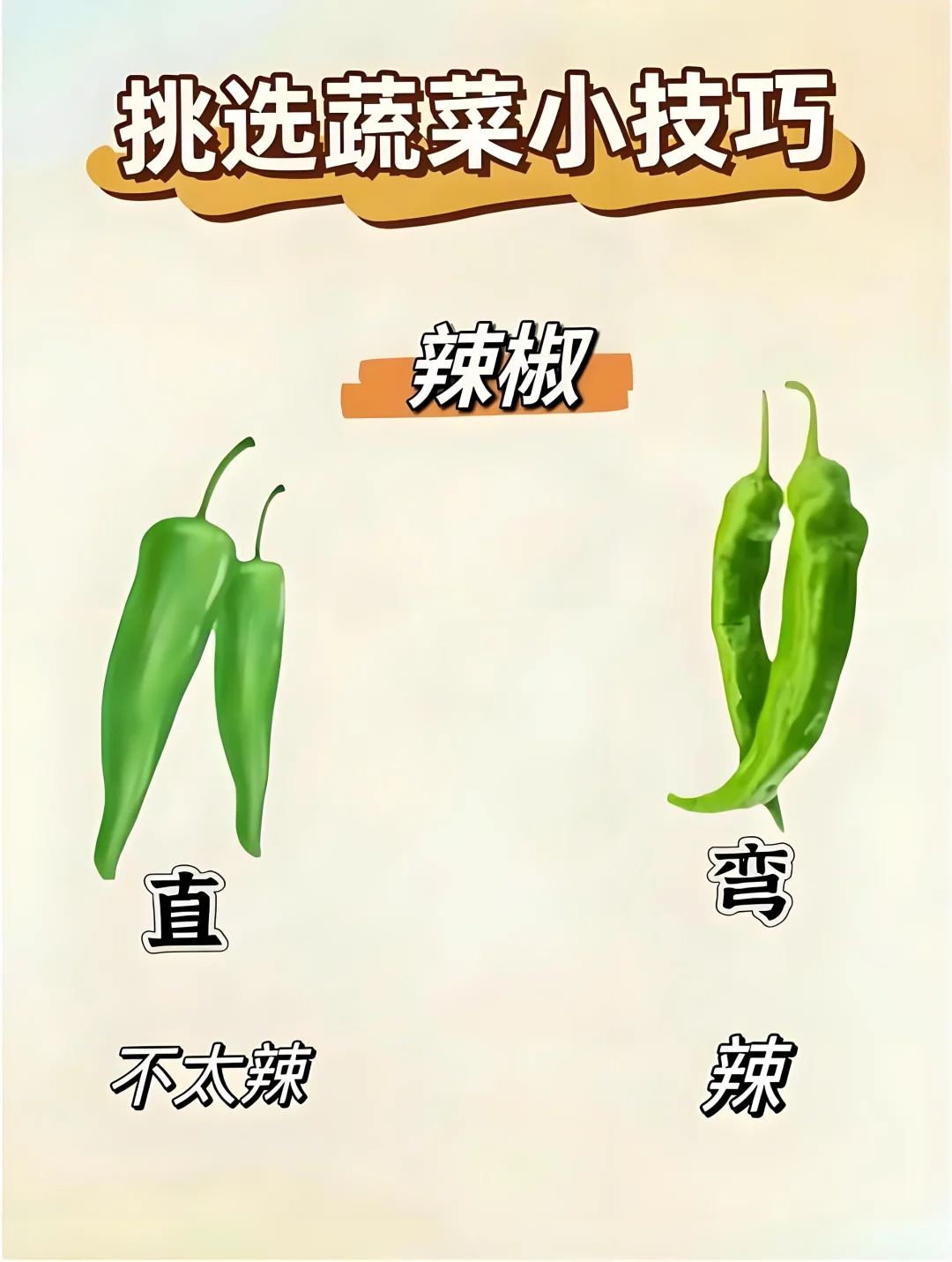 挑选菜小技巧，轻松买到新鲜