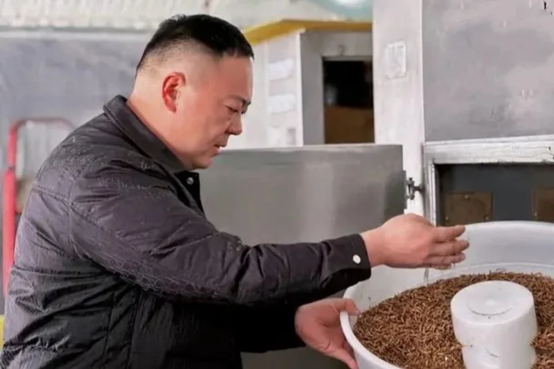 农村有100平的旧房子就能干,一年收入20万