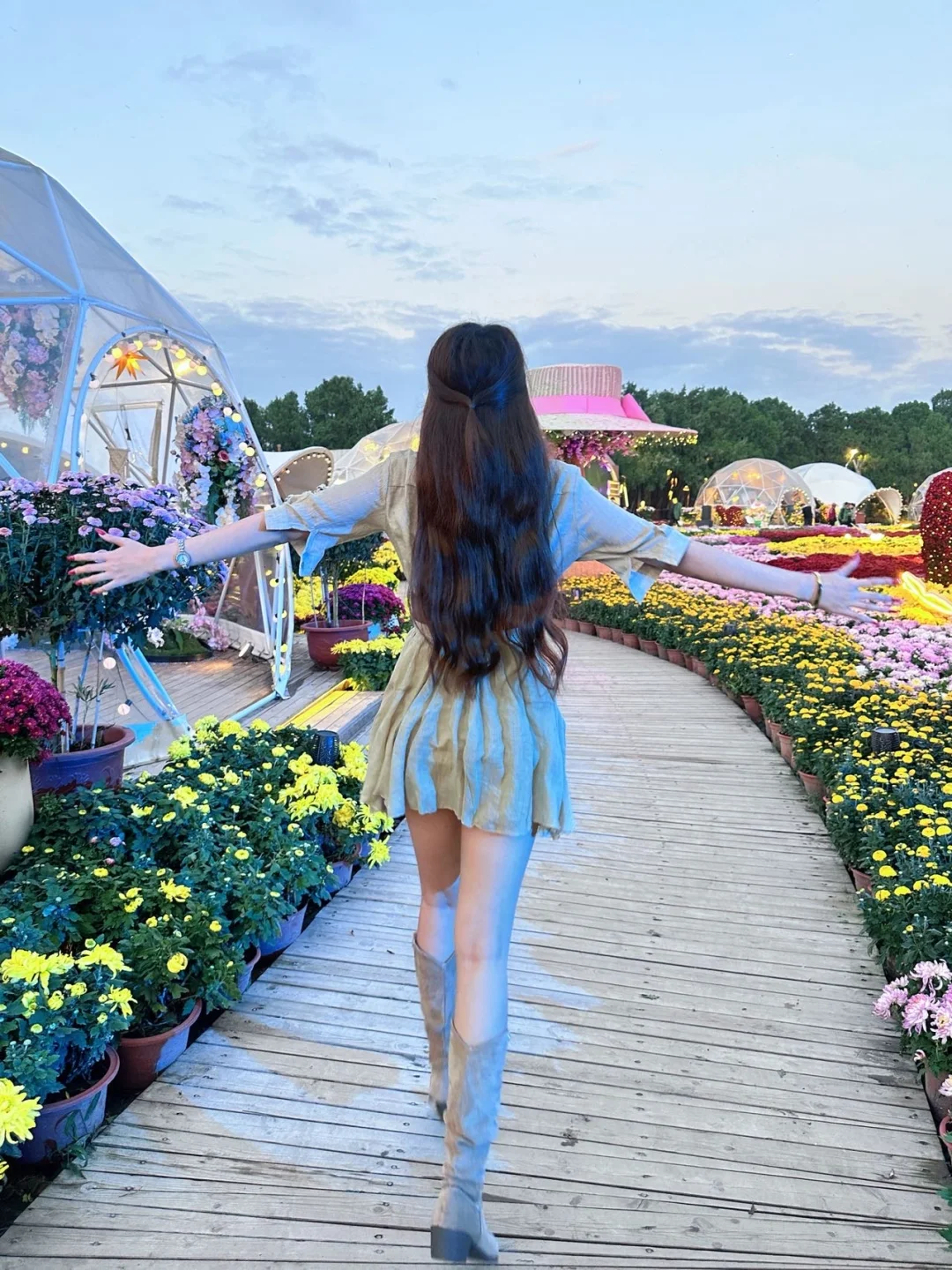 开封菊展｜白天黑夜拍照都封神?