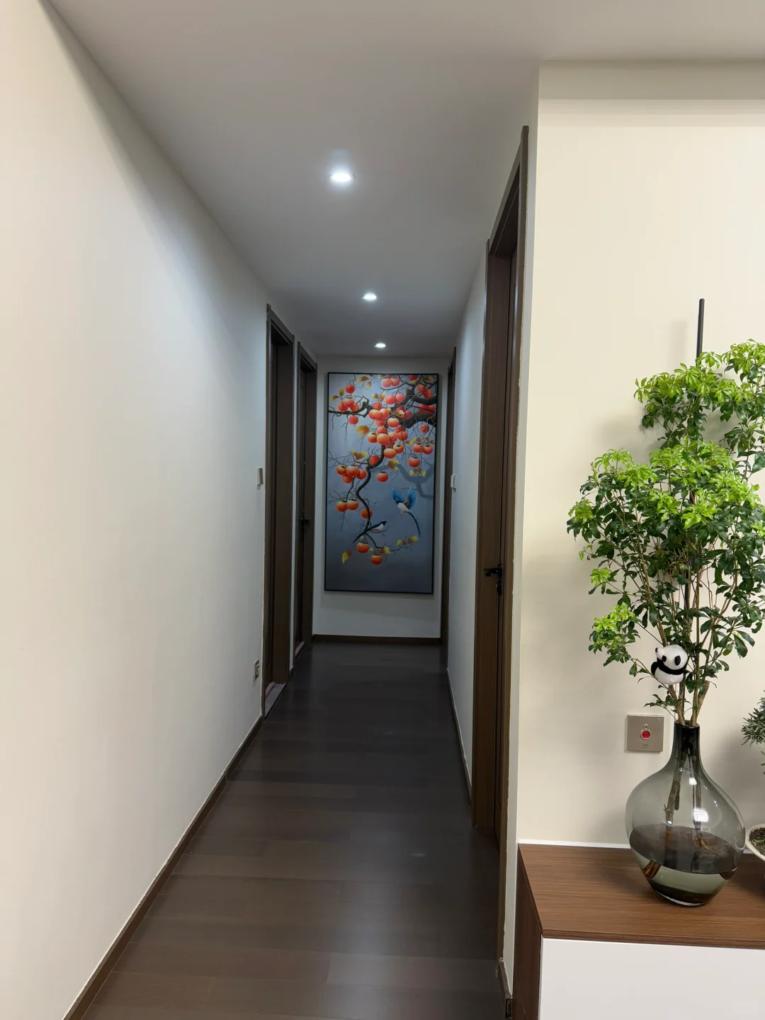 搞完卫生舒坦了,房子是载体,心安即是归处