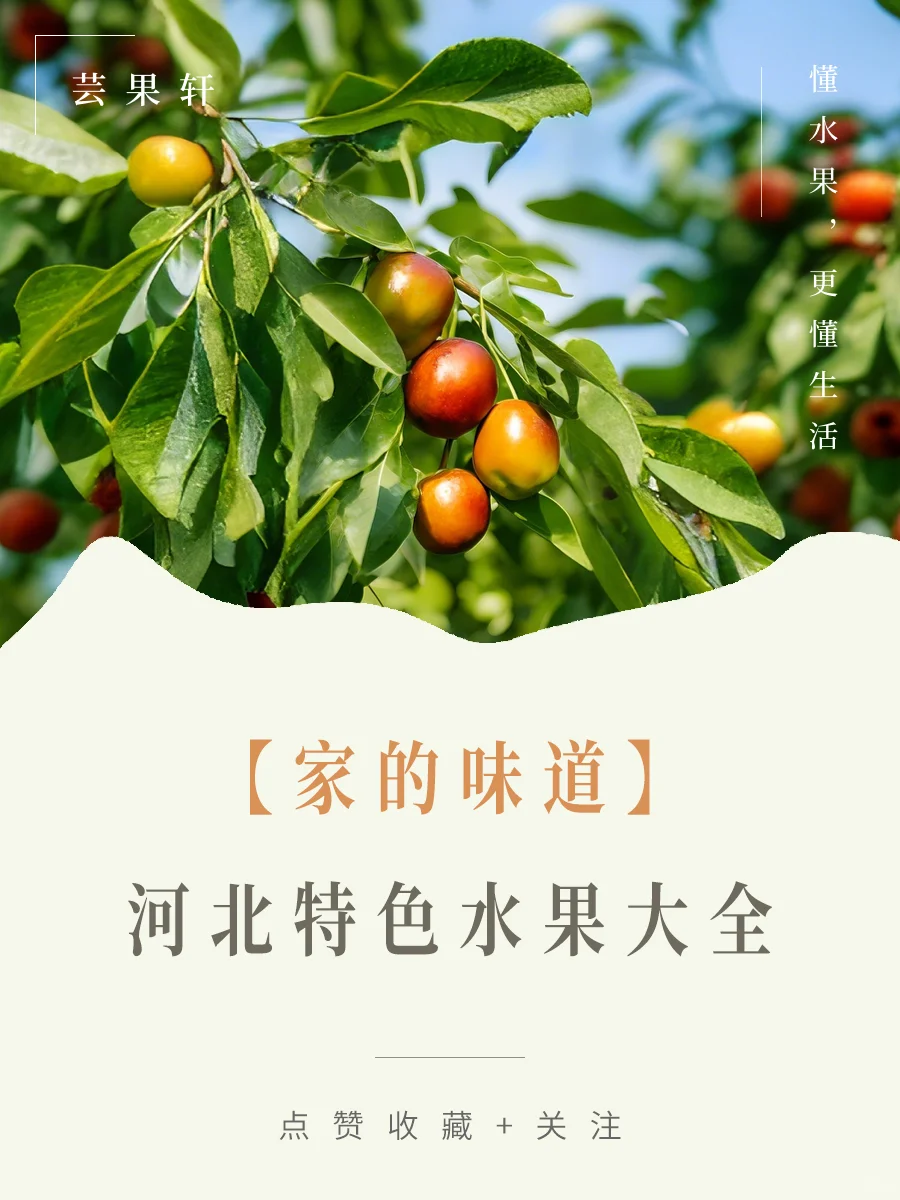 河北特色水果大全,有没有你的家乡?