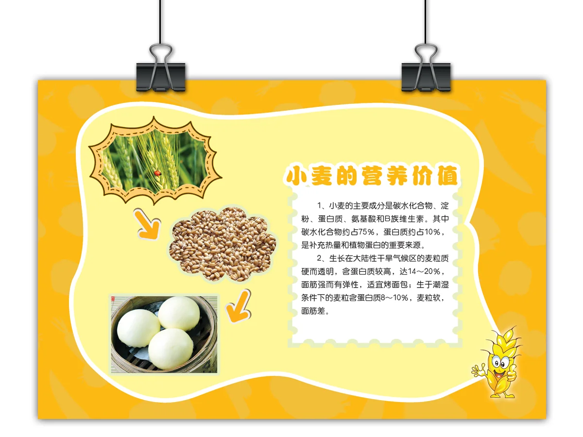 之前设计的幼儿园蔬菜展板