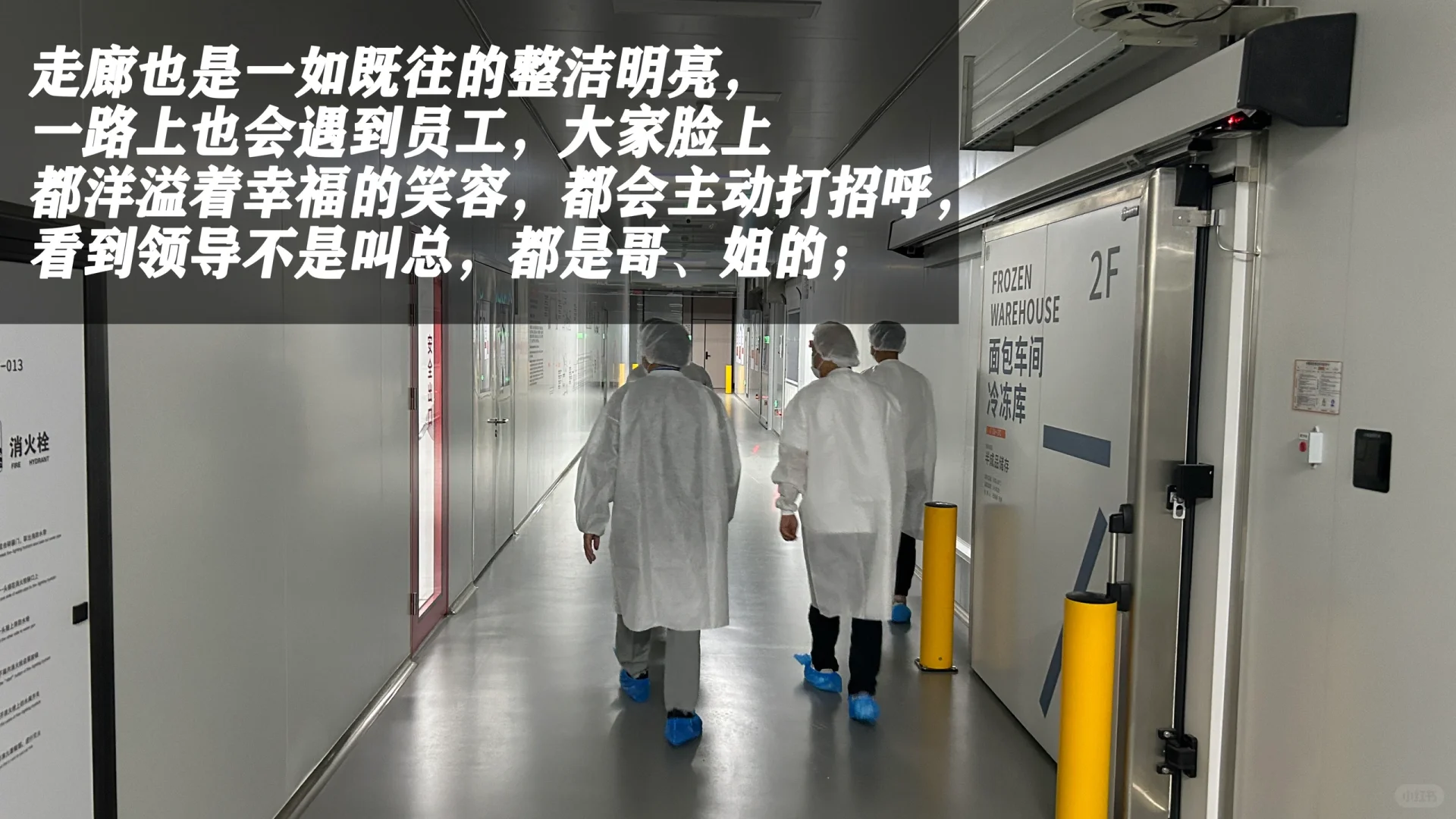 胖东来可以不开遍全国，但他的学生会