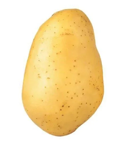 Day75 ·蔬菜?｜素材｜100天素材整理计划