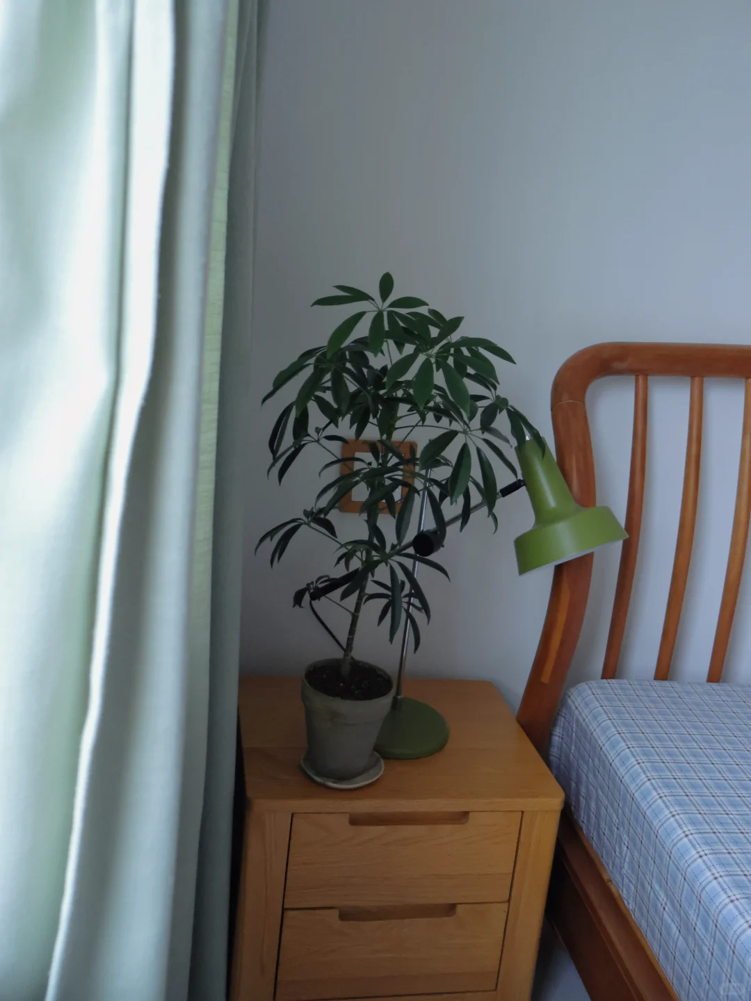 住在很土很净的家?