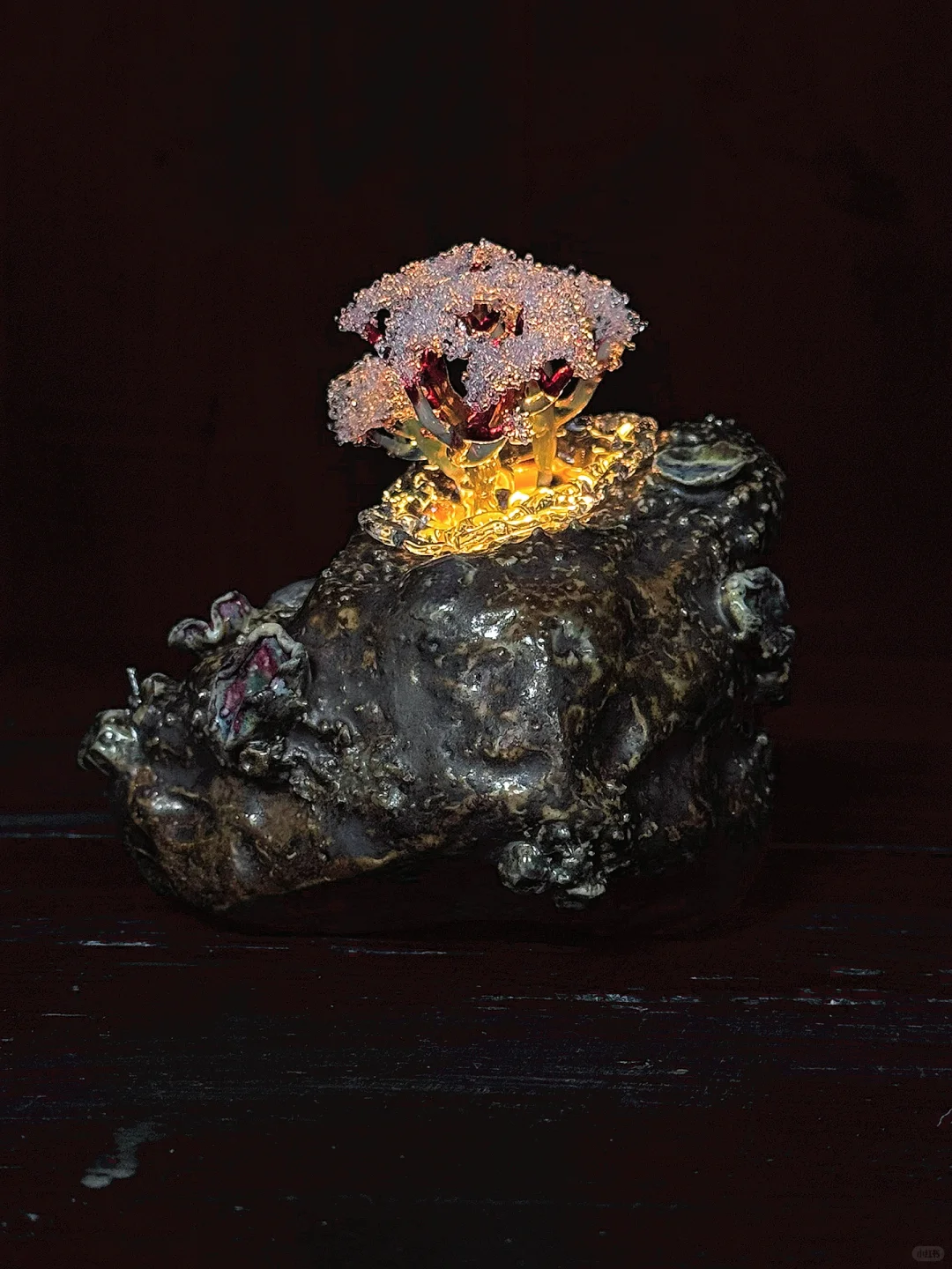 拯救粑粑计划！！！??