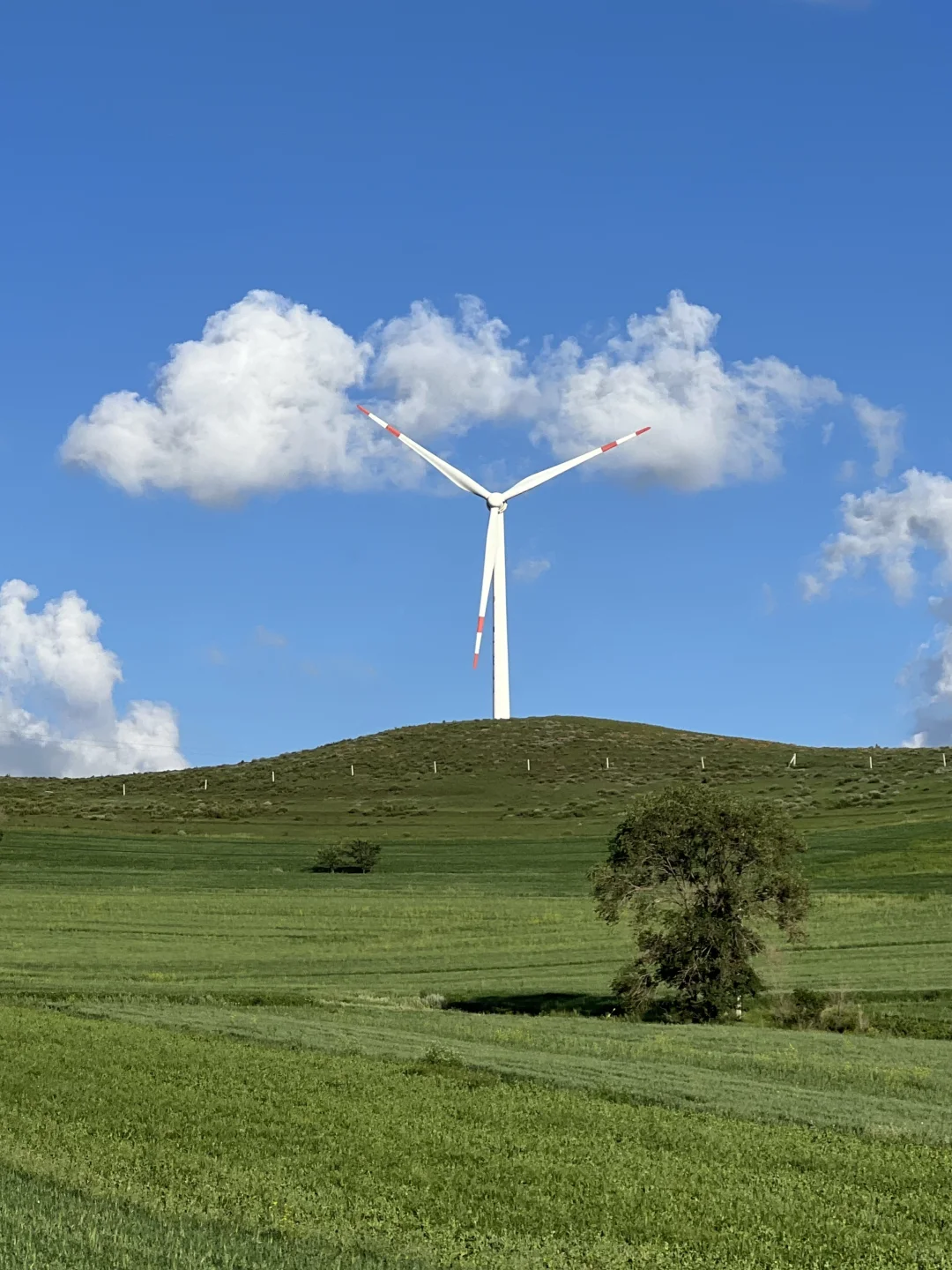 风车清楚每阵风的来意