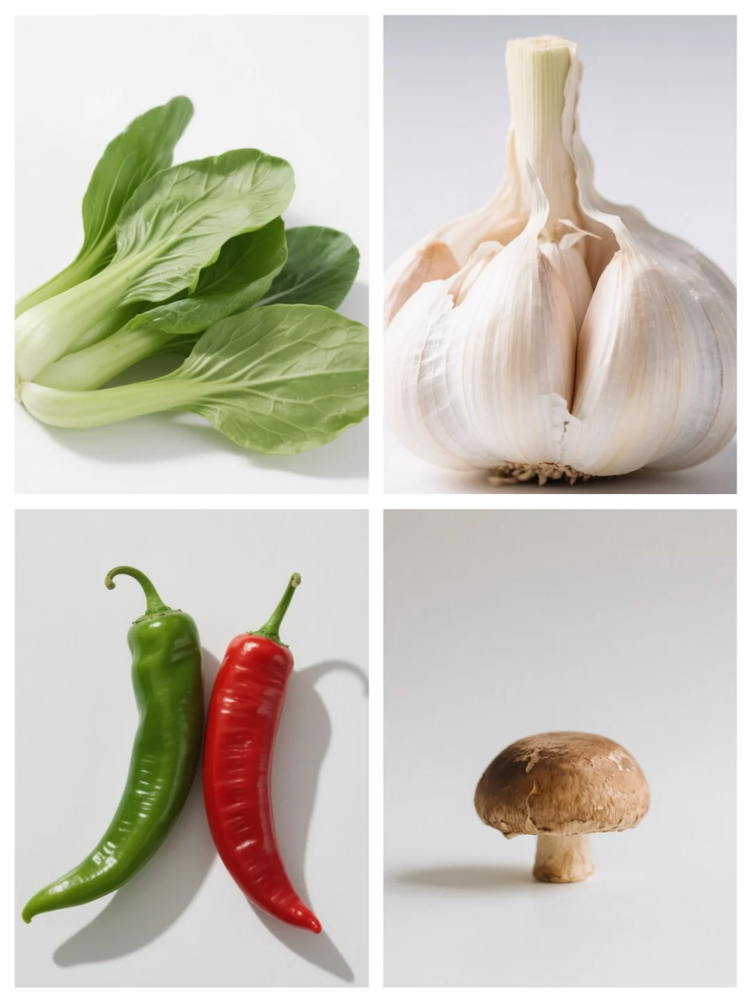 基础认知丨蔬菜?打印