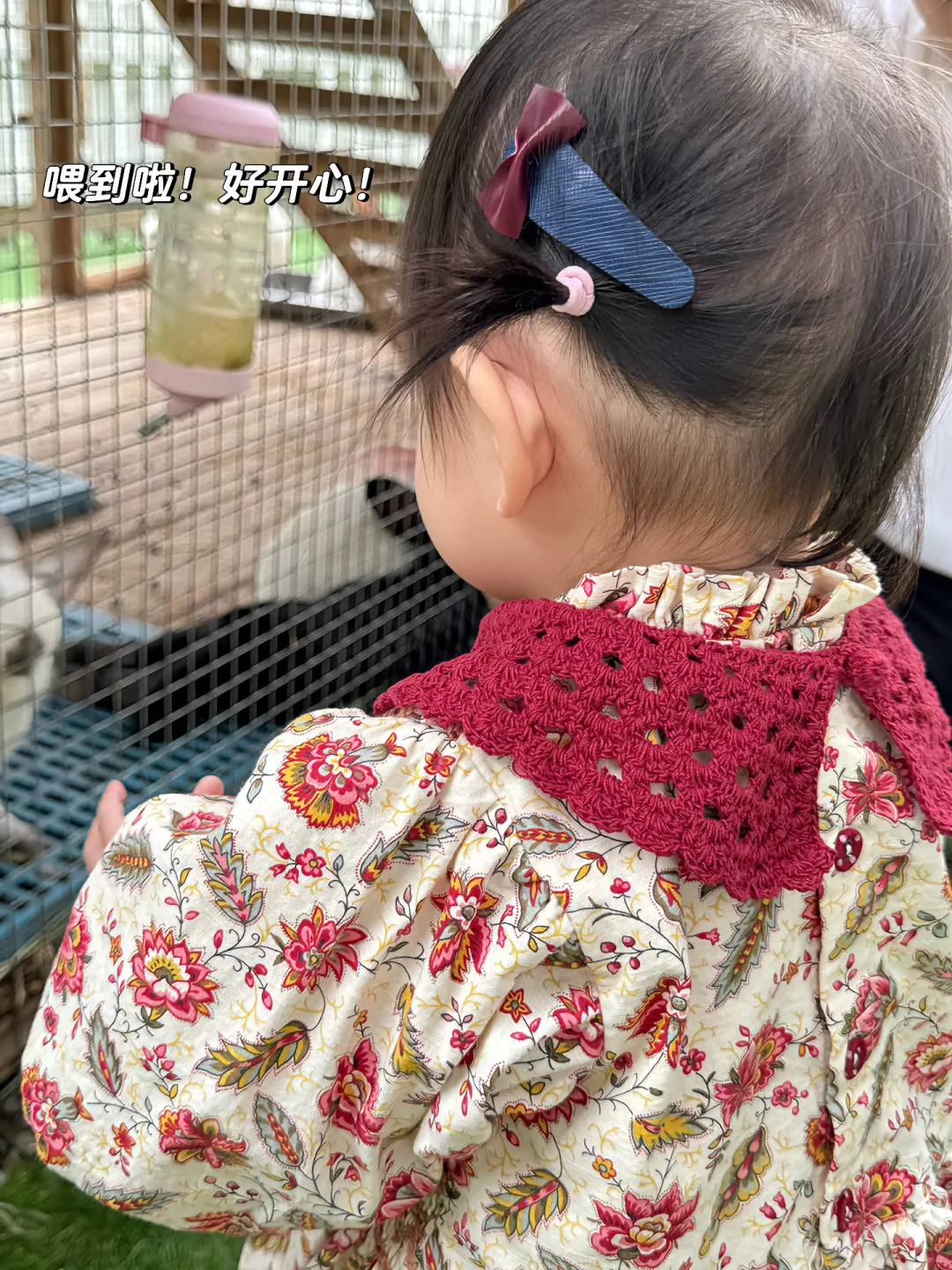 南京周边户外遛娃| 宝藏乐园??放电一整天