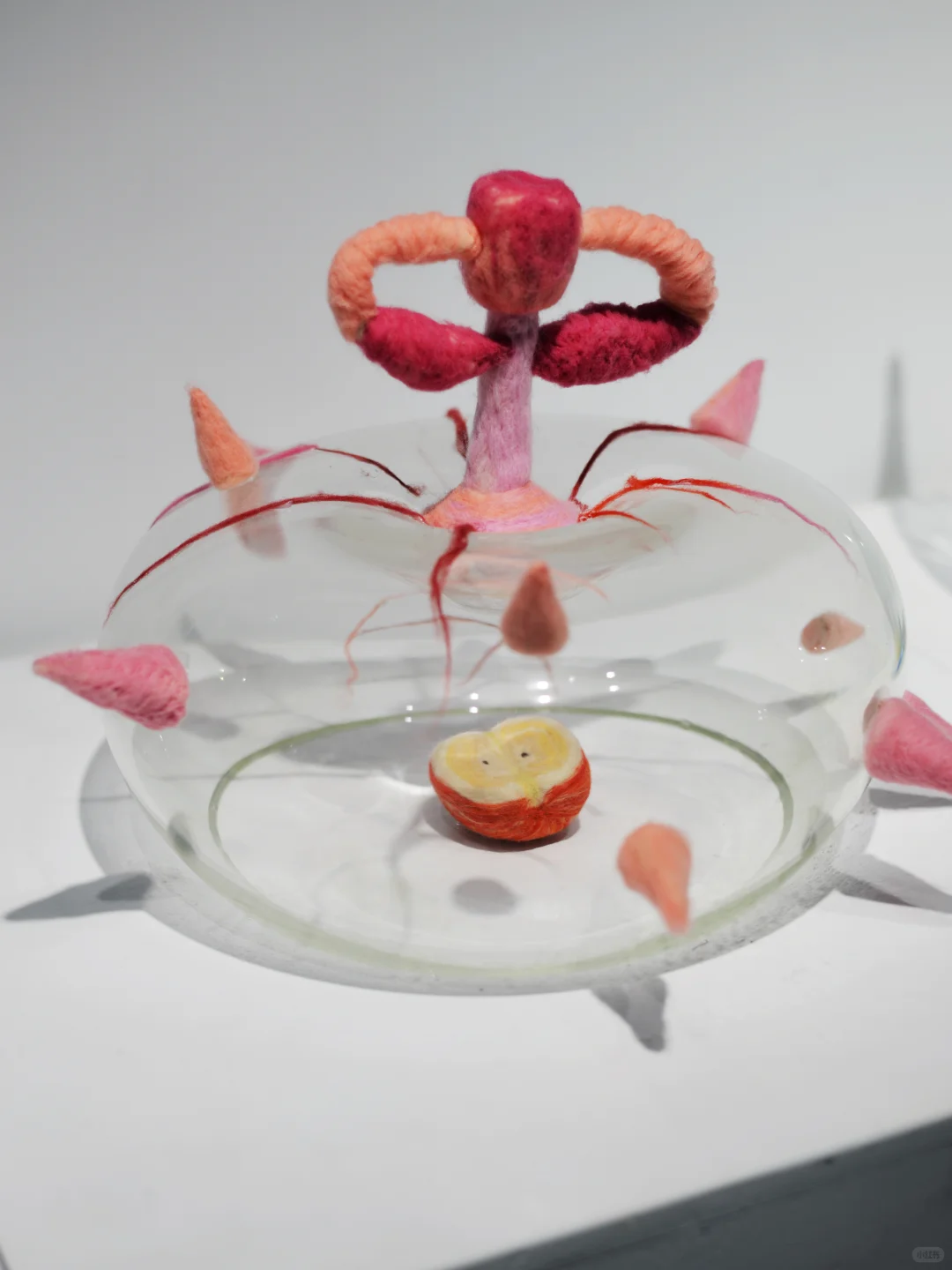 陶大玻璃专业本科生毕业作品(2025年)