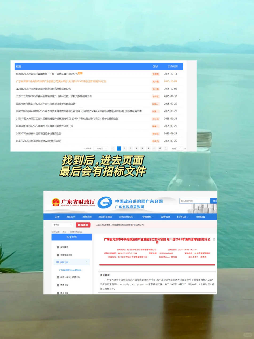 标书新人，如何找招标文件