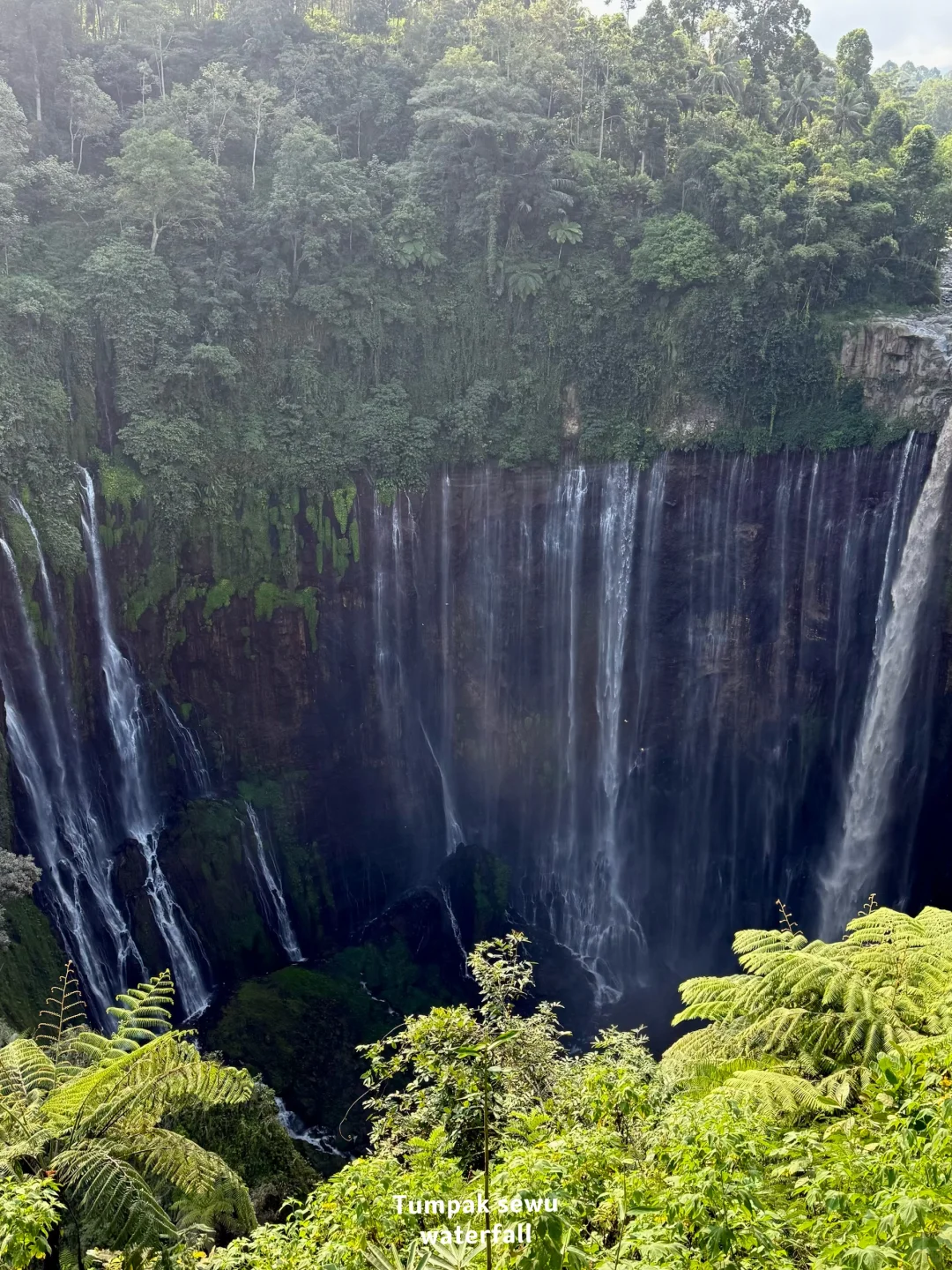 ??印尼｜泗水4天旅行攻略 （骑摩托版）