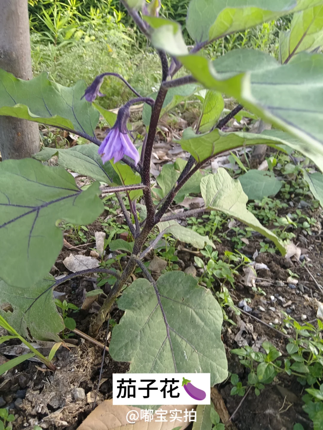 怕你们城里人没见过这些…