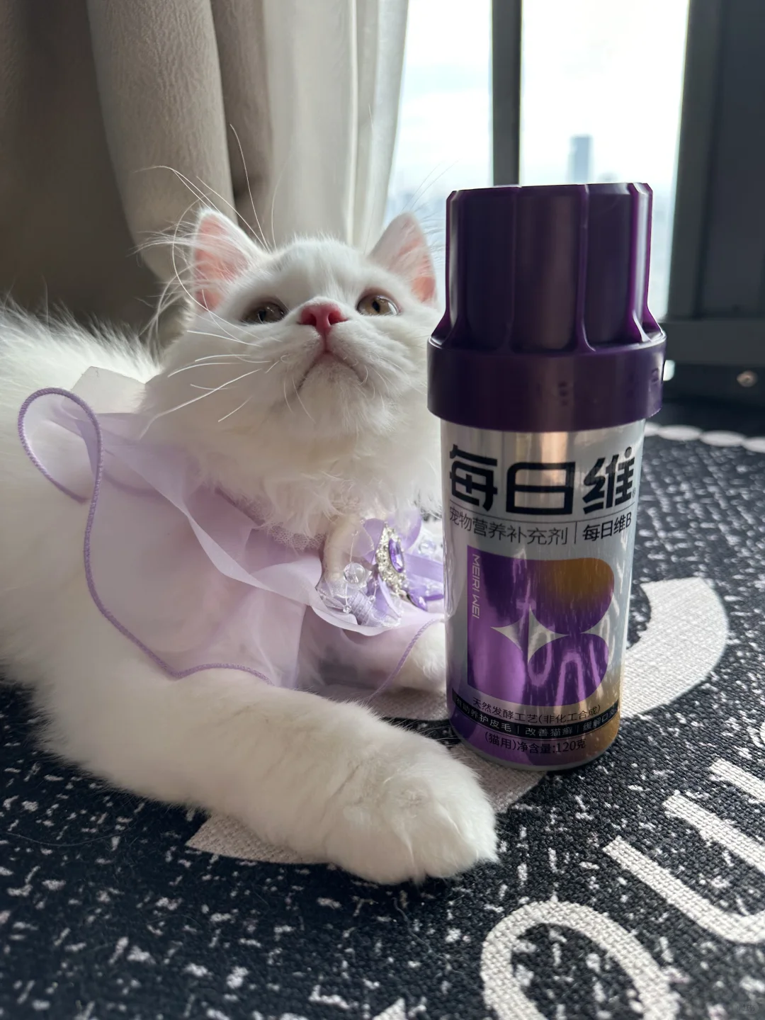 猫咪需要补充维生素b吗